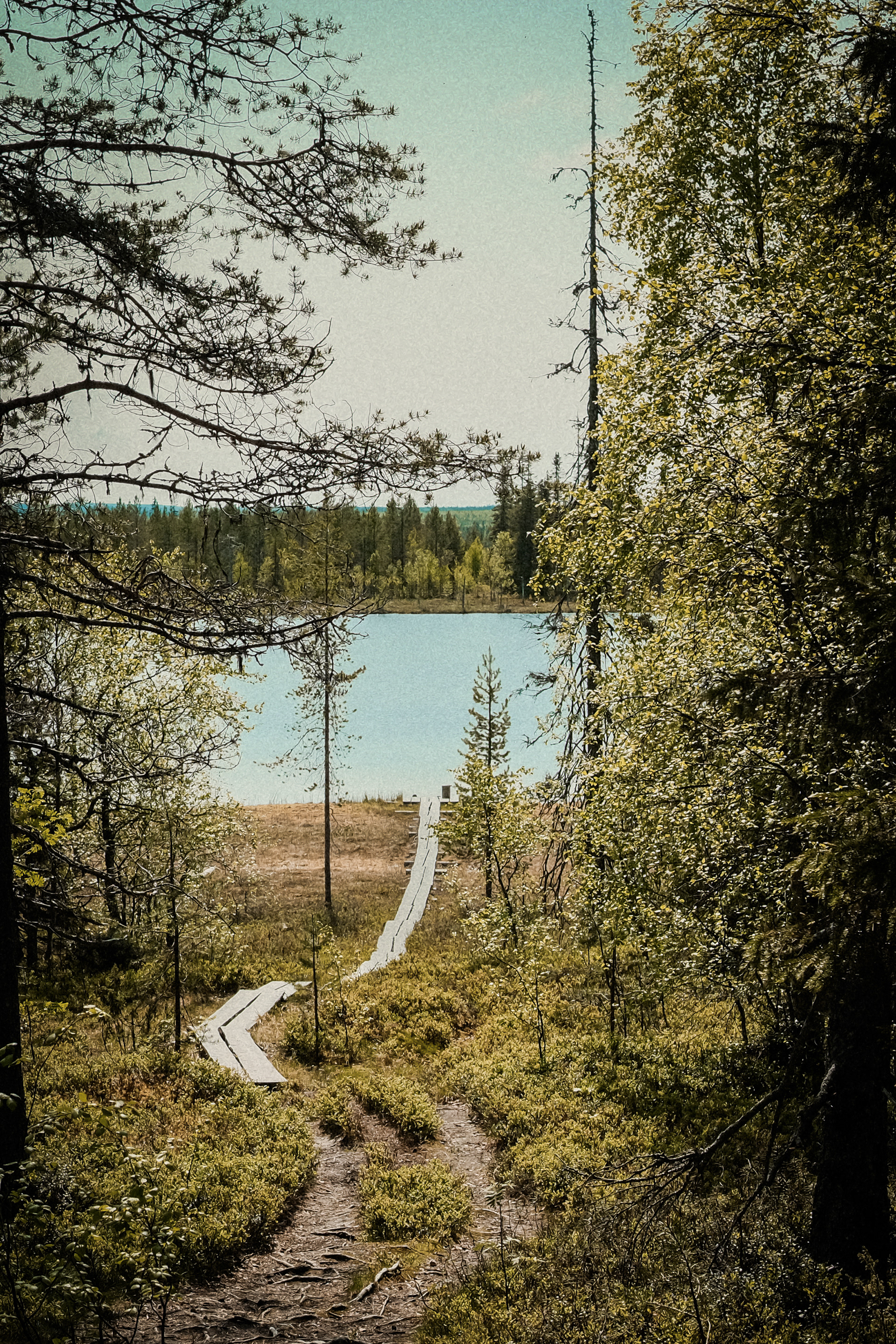 Iso Kuikkalampi - Kuusamo, Finland - 2025