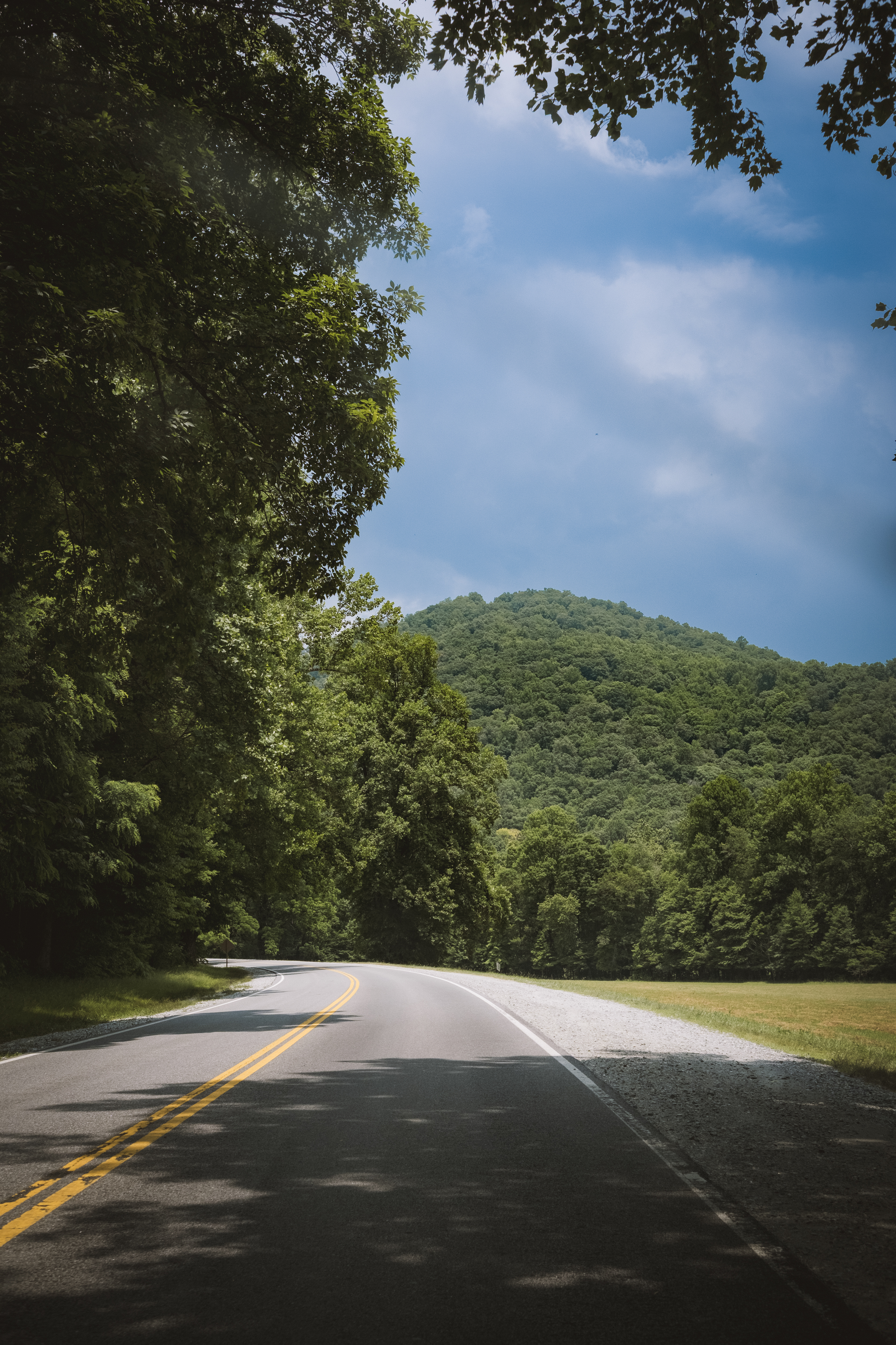 Blue Ridge Parkway - Ravensford, NC - 2024
