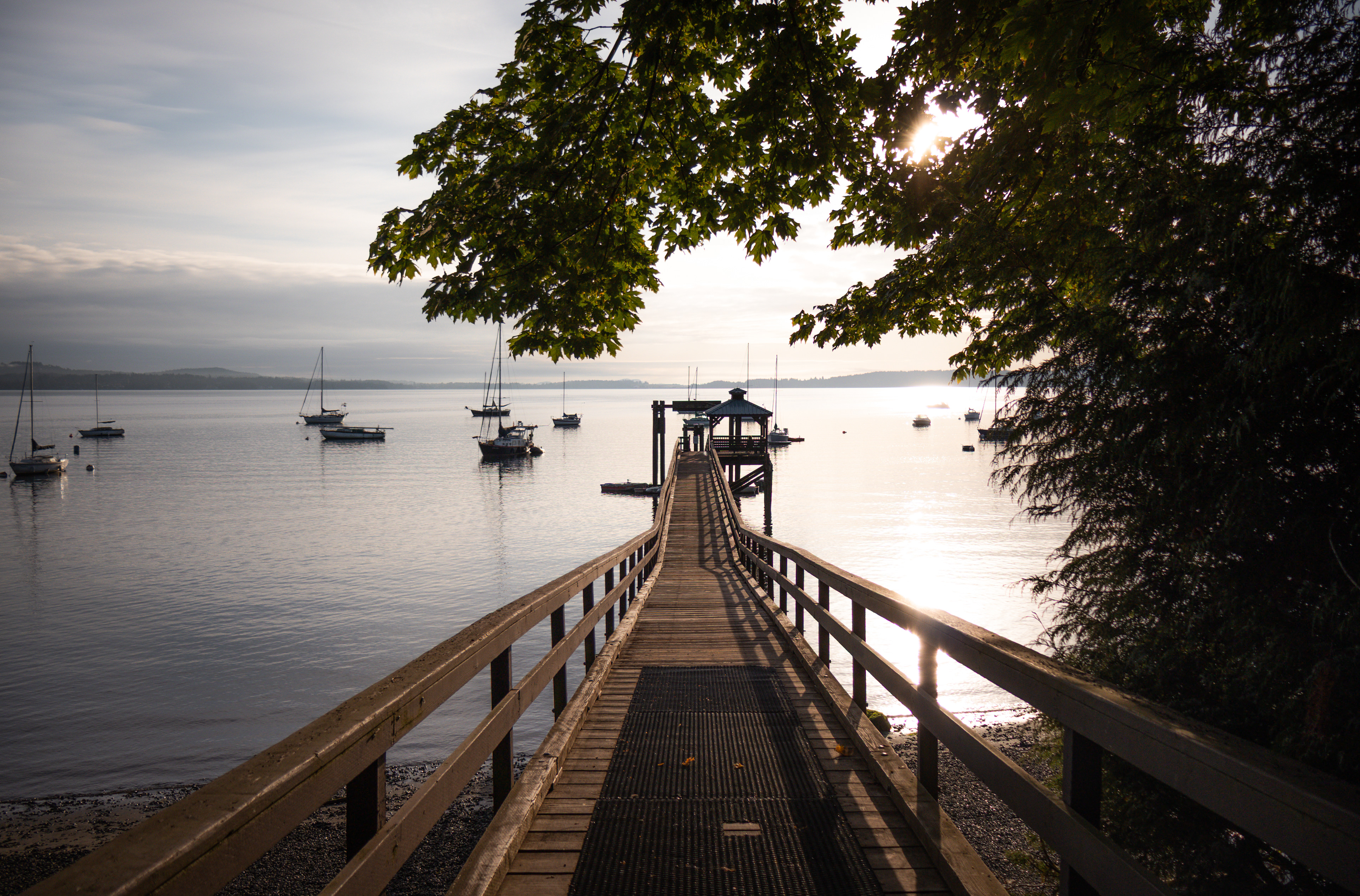Saanich Inlet - Territoire de la Première Nation de Malahat - Mill Bay, BC, Canada - 2023