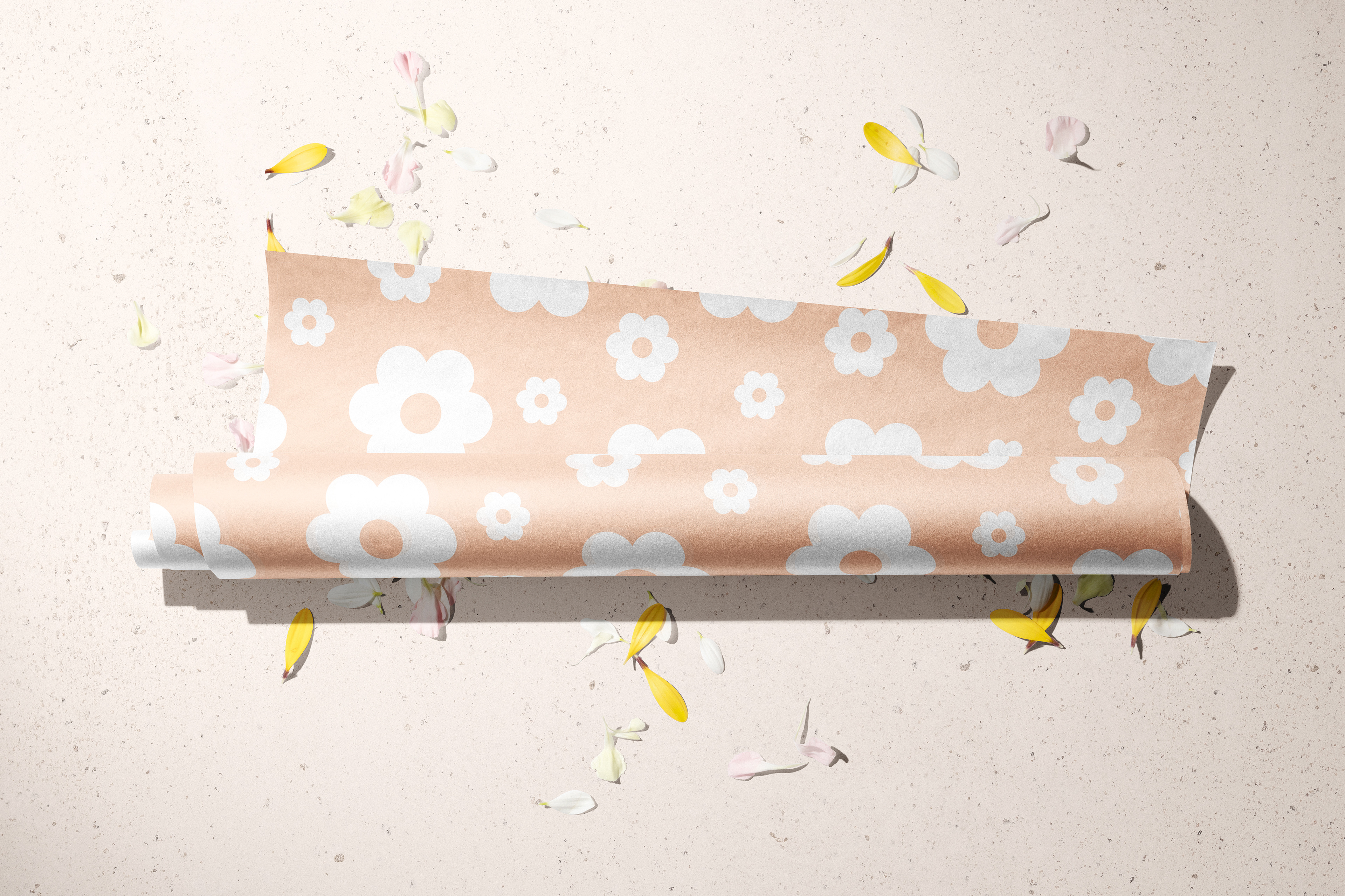 Packaging Mockup