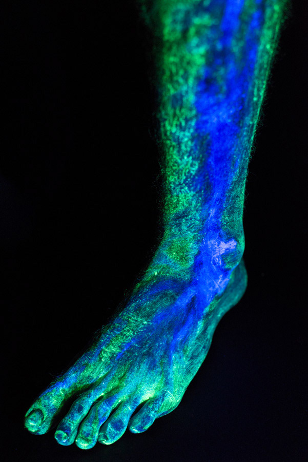 - Je crois que j’ai voulu choisir des couleurs qui mettent en valeur certaines parties de manière évidente parce que j’ai travaillé seulement avec deux couleurs. En fait j’ai utilisé le vert pour représenter ce qui est vivant, le bleu est plus ou moins une combinai- son de ce qui est artifciel et ce qui est mort.