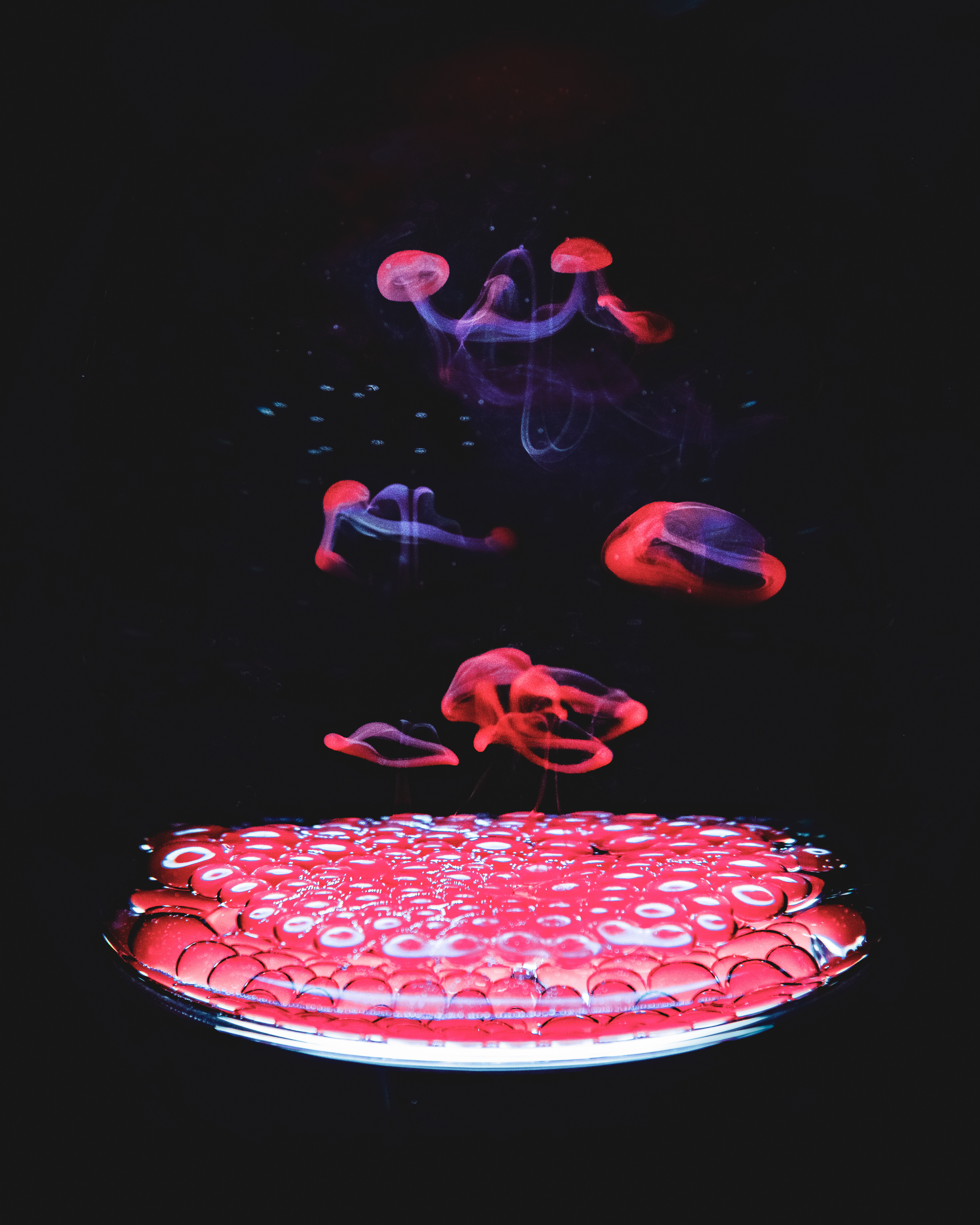 Food colouring in water