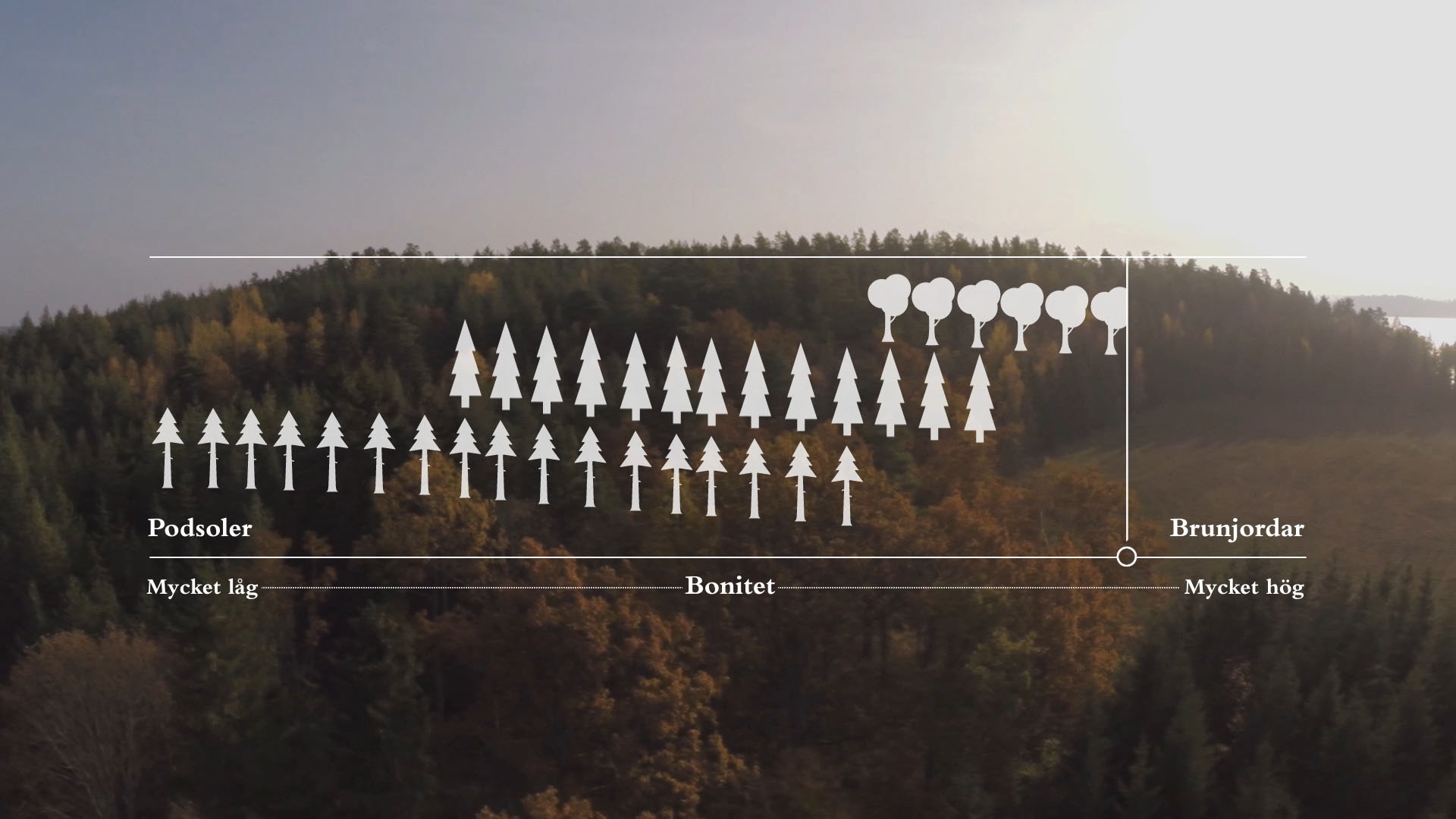 Stillbild ur film till Sveriges lantbruksuniversitet