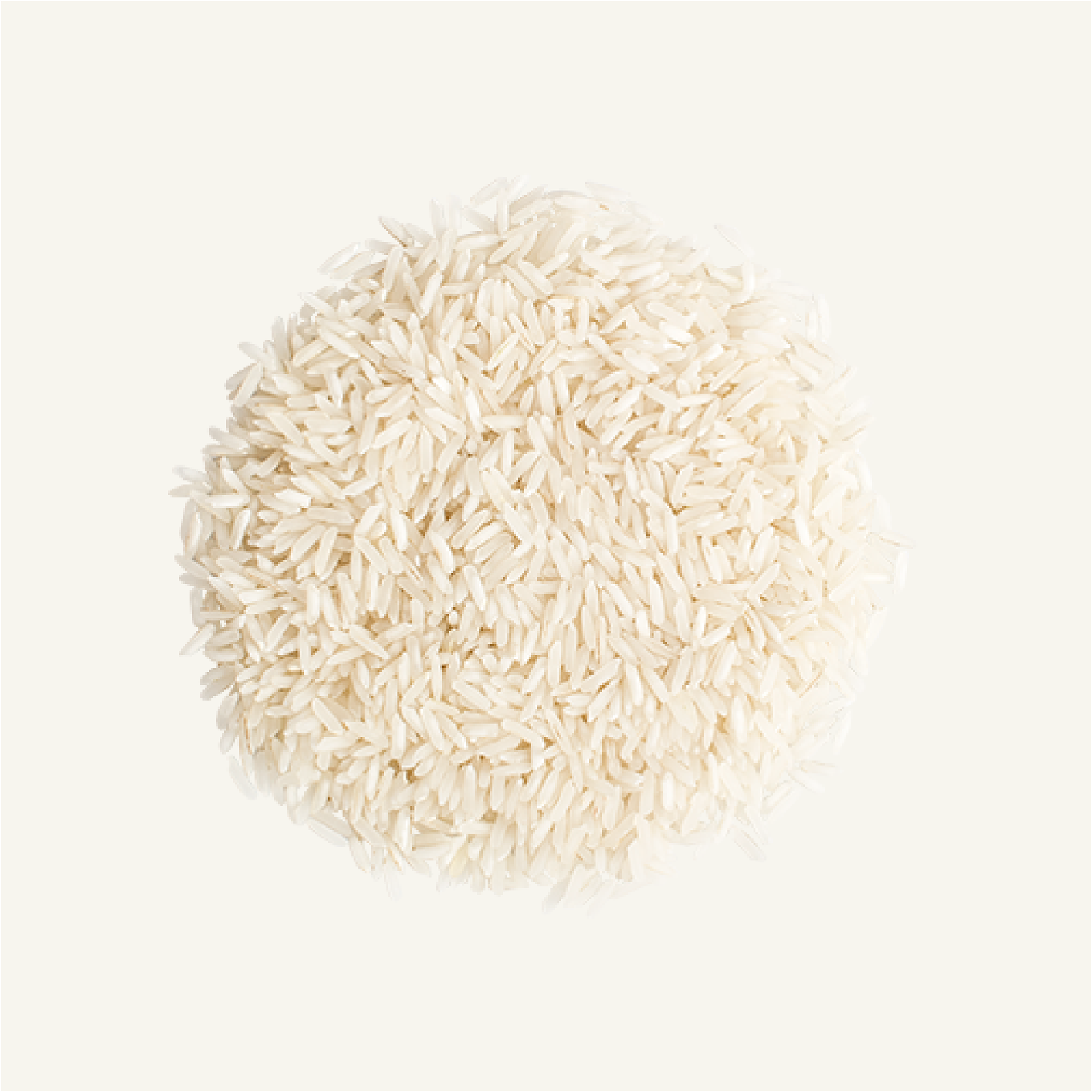 real rice grains