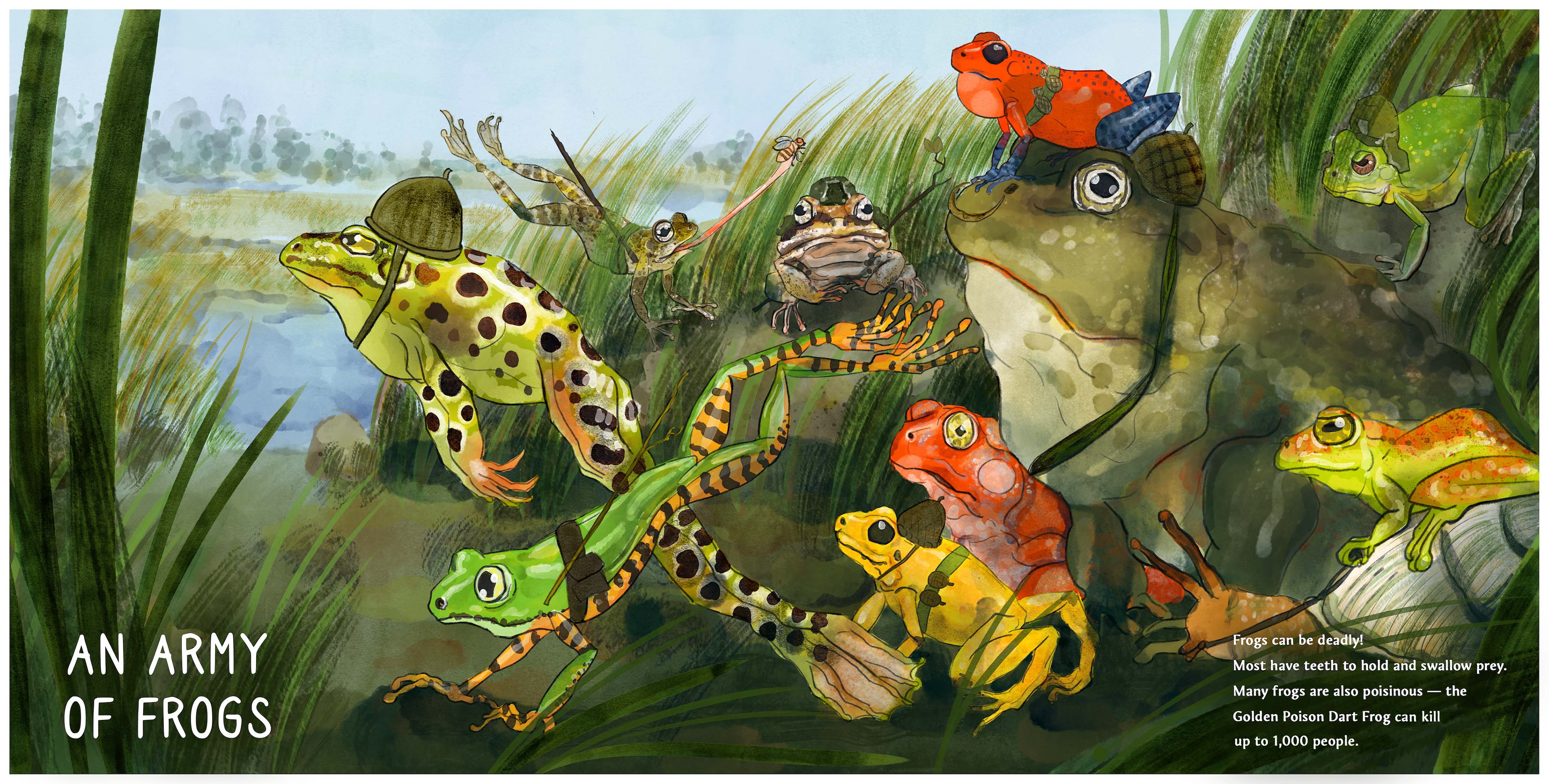 An Army of Frogs
