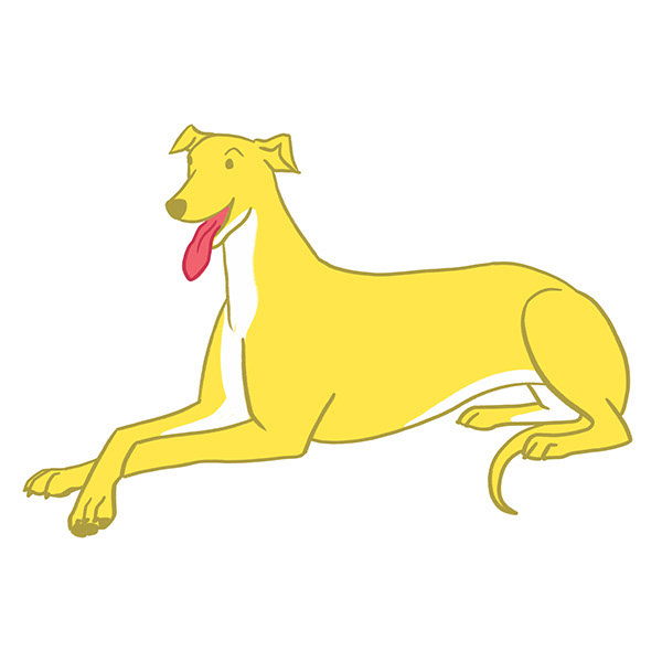 Grey Hound - Cross Paws Sitting