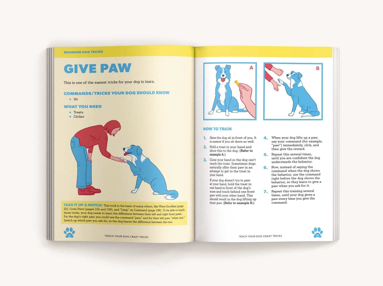 "Teach Your Dog Crazy Tricks" by Desiree van Zon