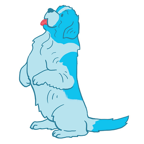 Newfoundland Dog - Sit Pretty