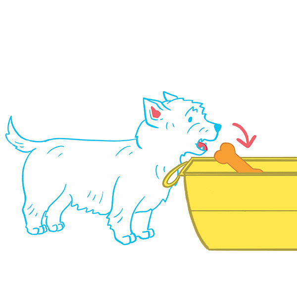 West Highland Terrier - Put Toys Away