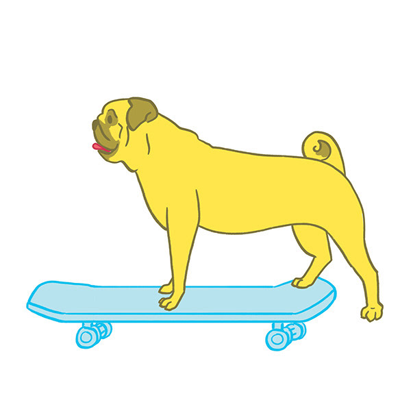 Pug - Skateboard