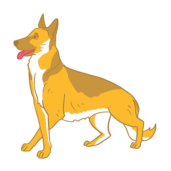 German Shepherd - Cross Paws Standing