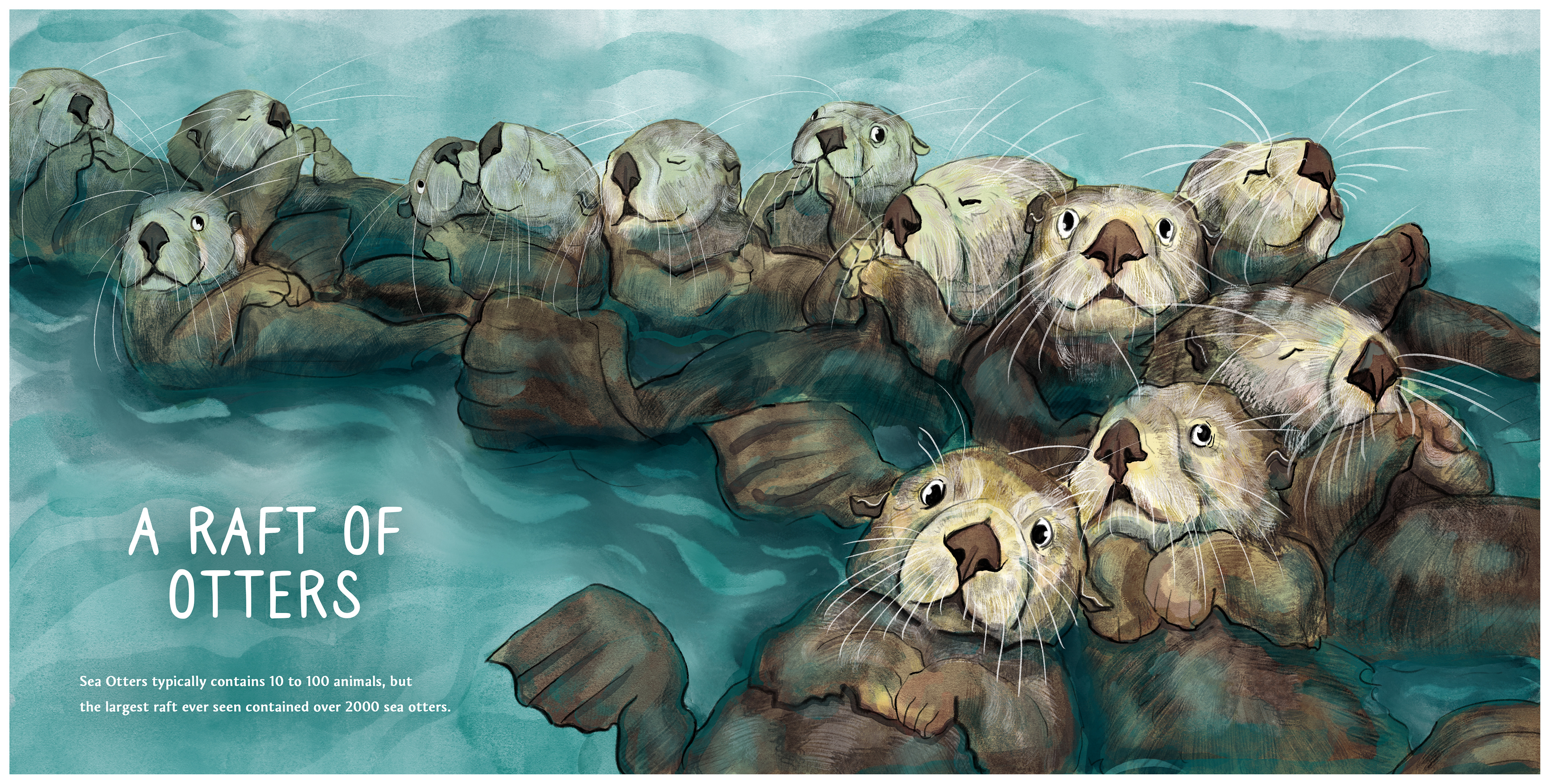 A Raft of Otters
