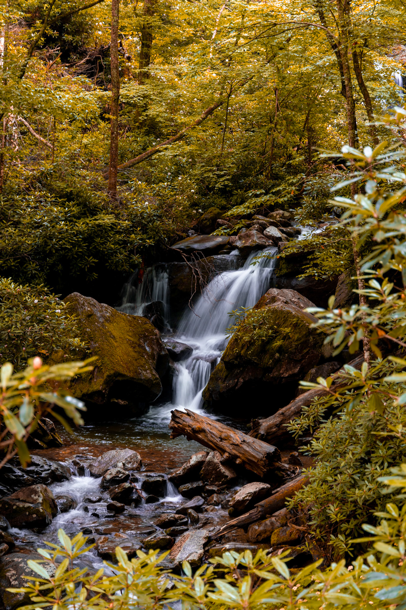 Great Smokey National Park