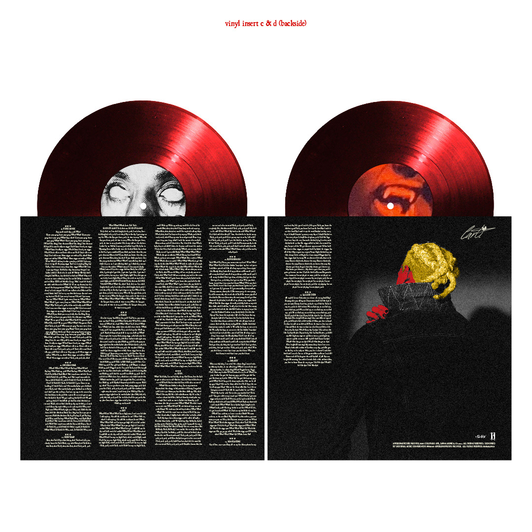 vinyl insert c & d (backside)