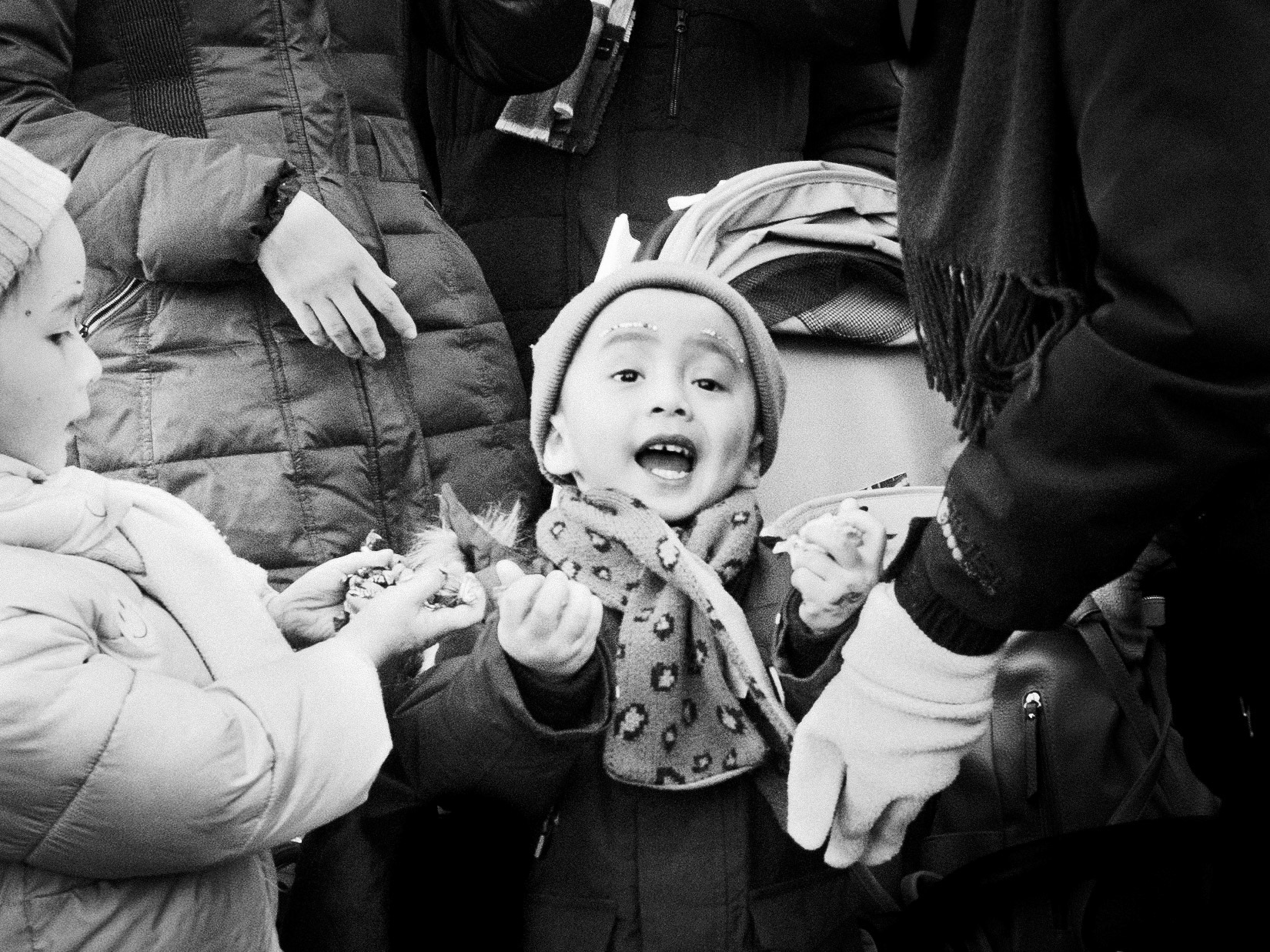 Carnival, Nijmegen 2025