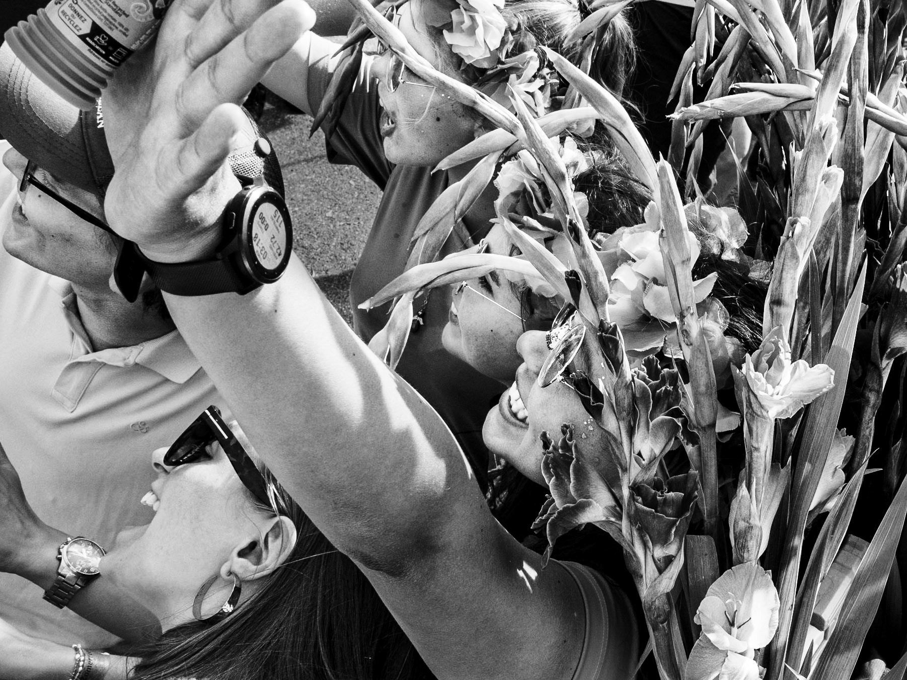 4 Days Marches and Festivities, Nijmegen 2025