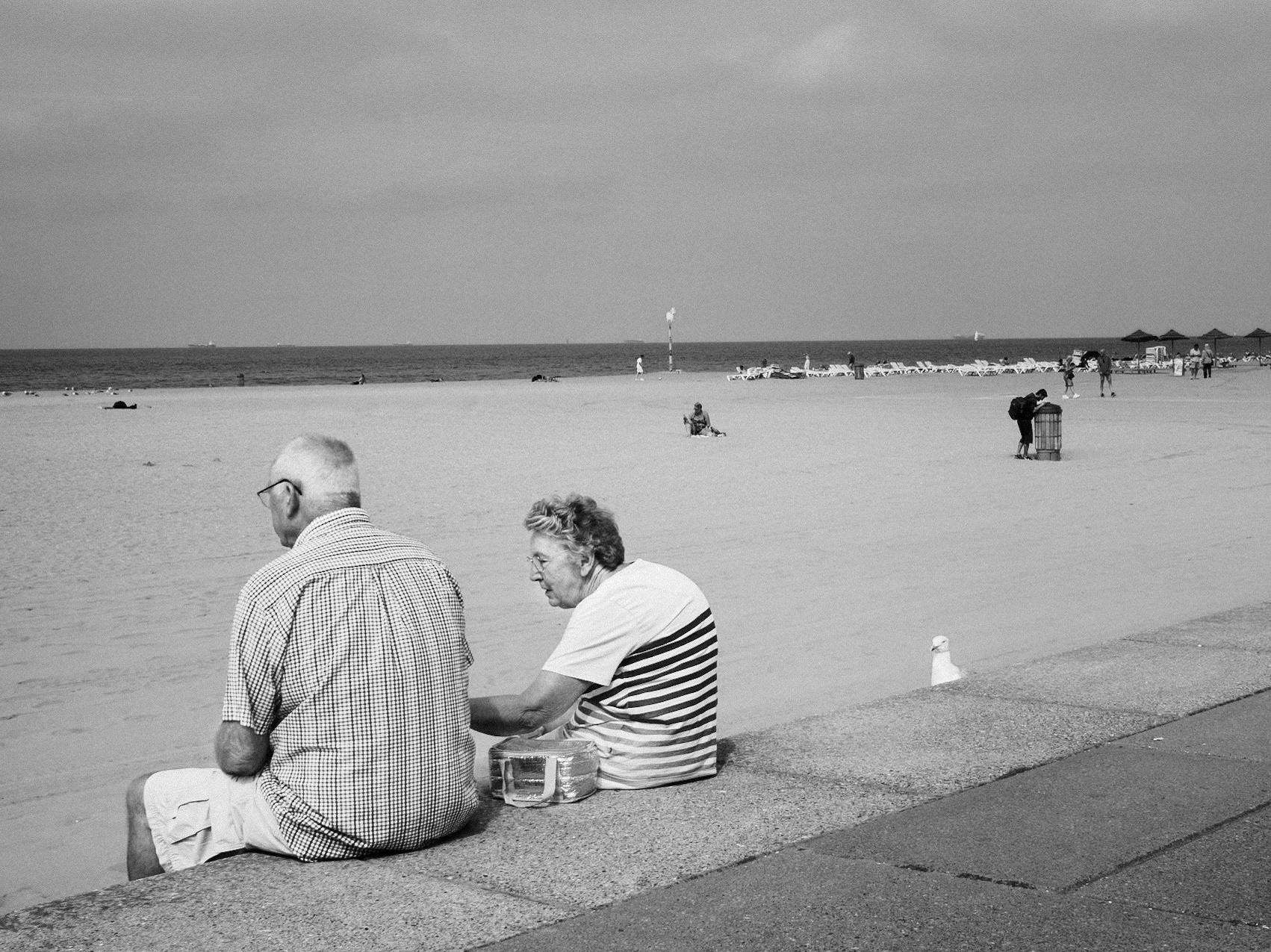 Scheveningen, The Netherlands 2024