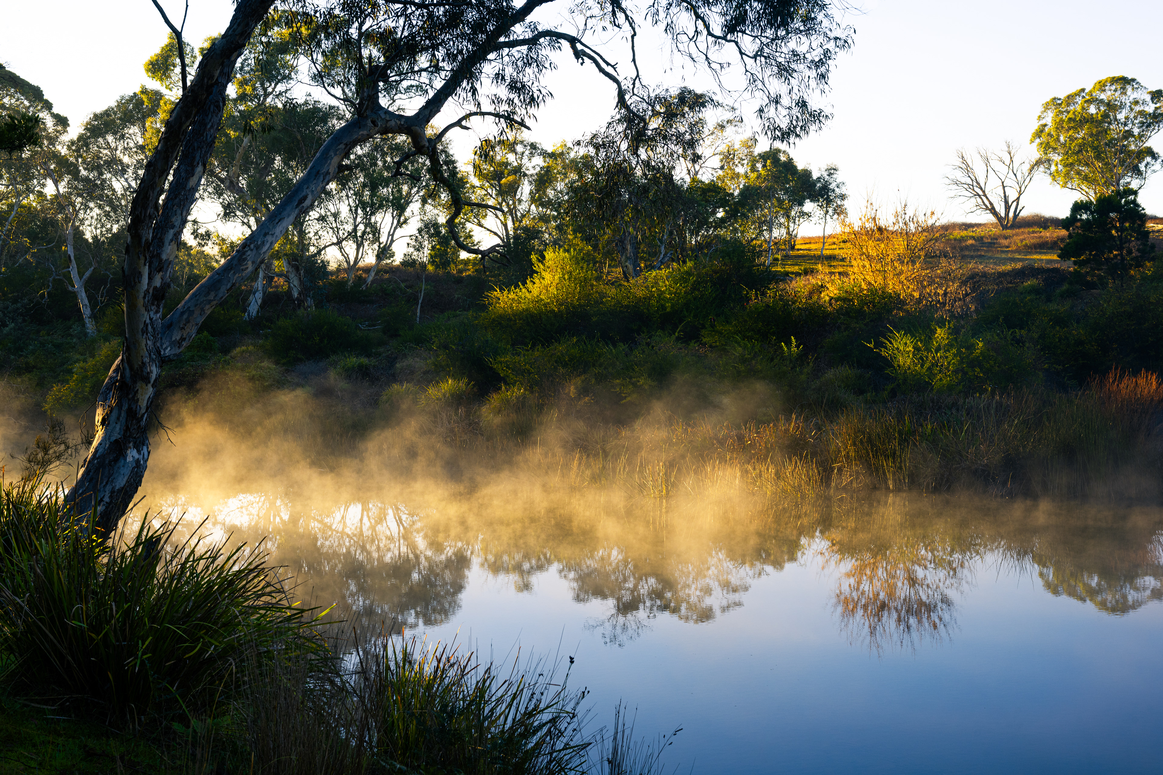 Berrima River Walk