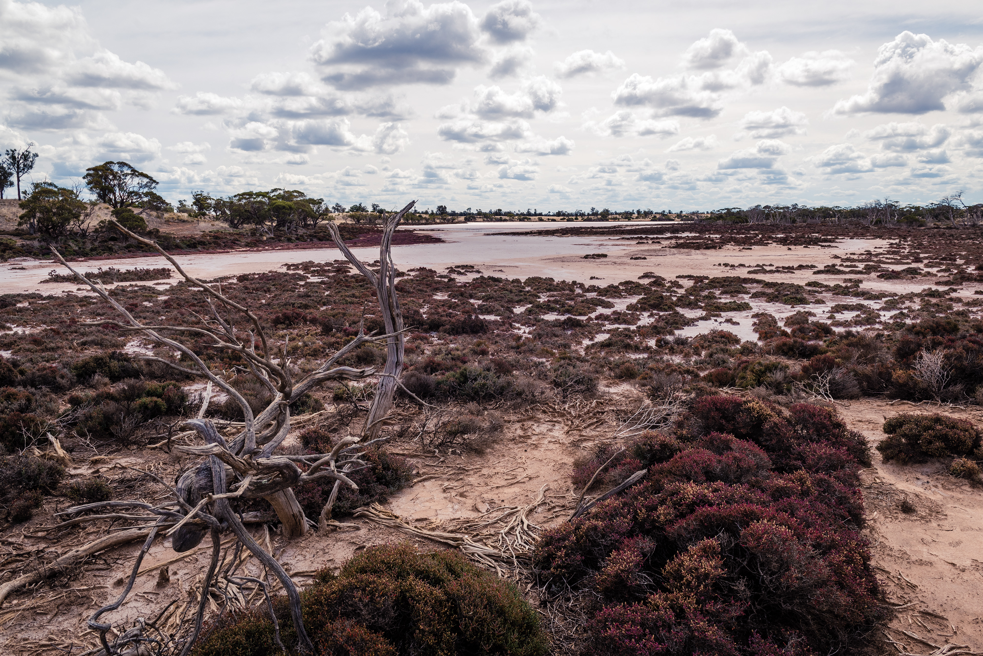Lake Hardy, Murray Sunset National Park