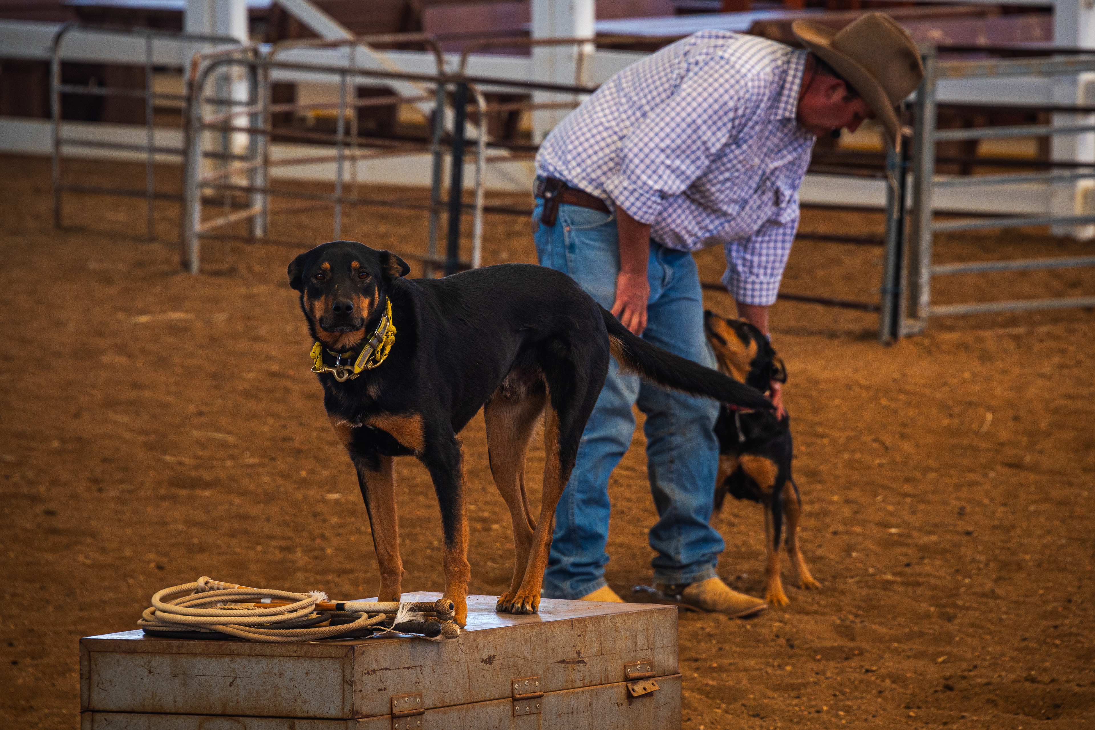 Stockmans Hall of Fame, Longreach