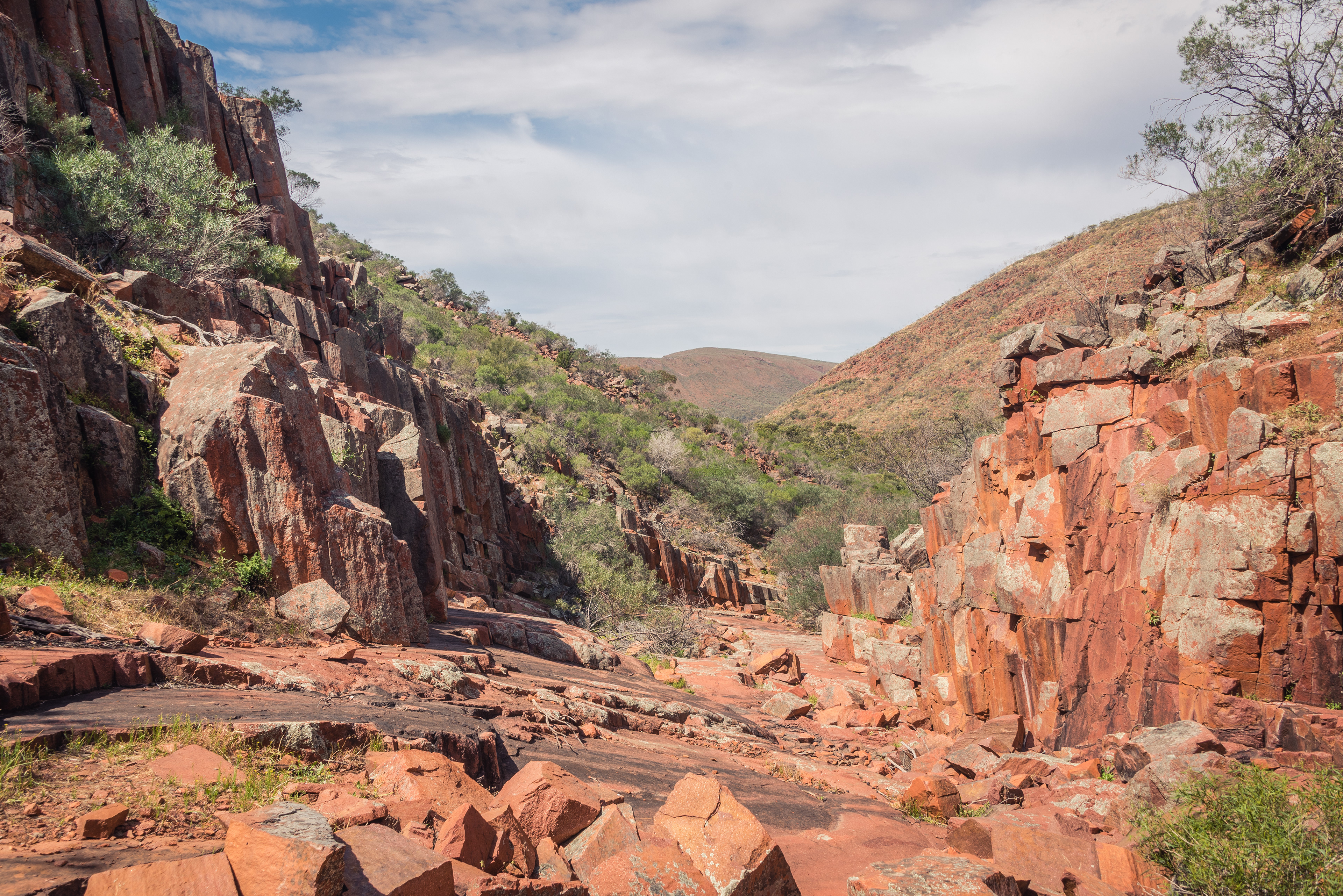 Gawler Ranges National Park