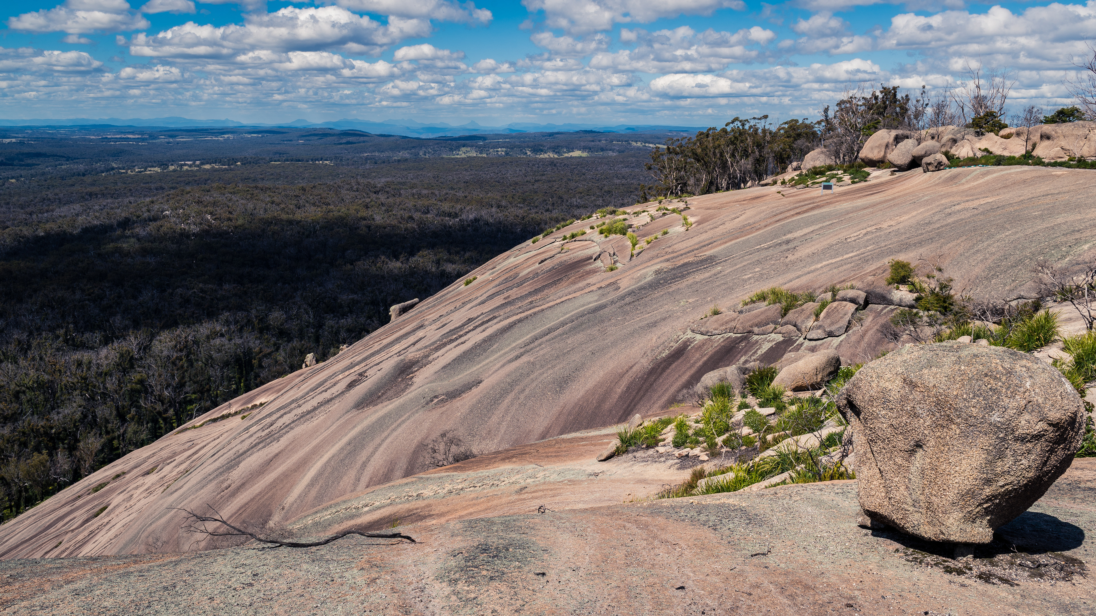Bald Rock National Park