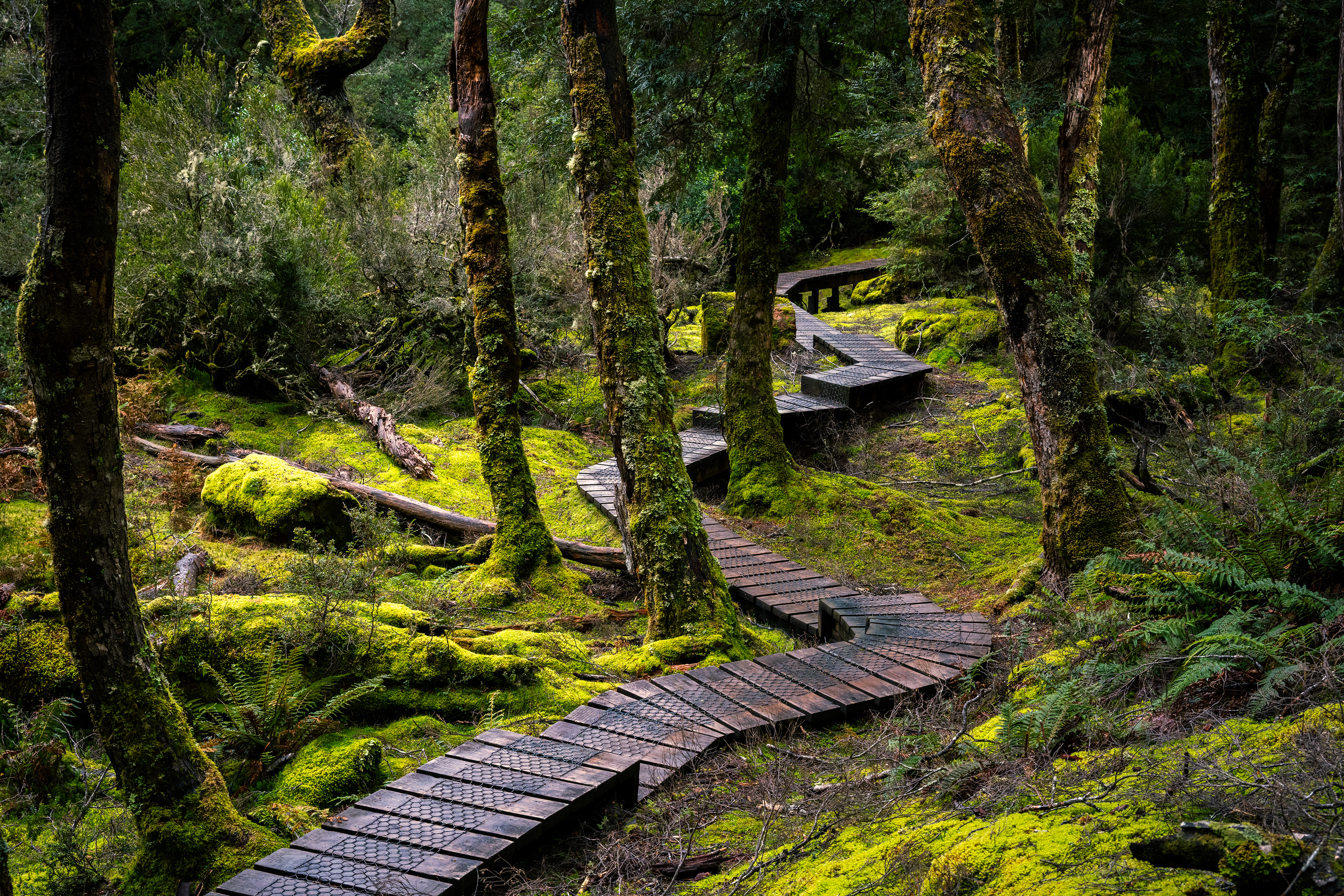 Cradle Mountain-Lake St Clair National Park