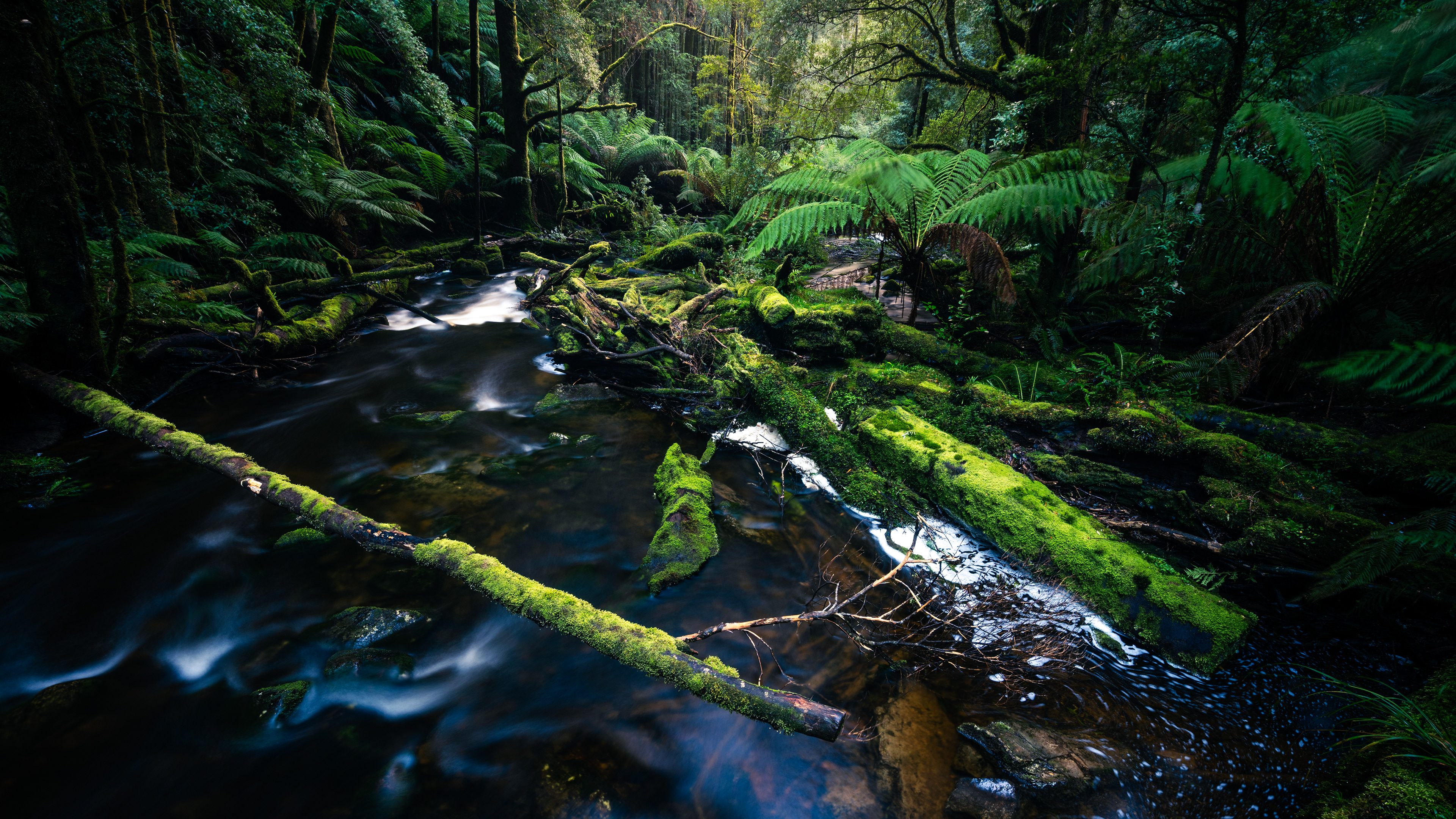 Nelson Falls