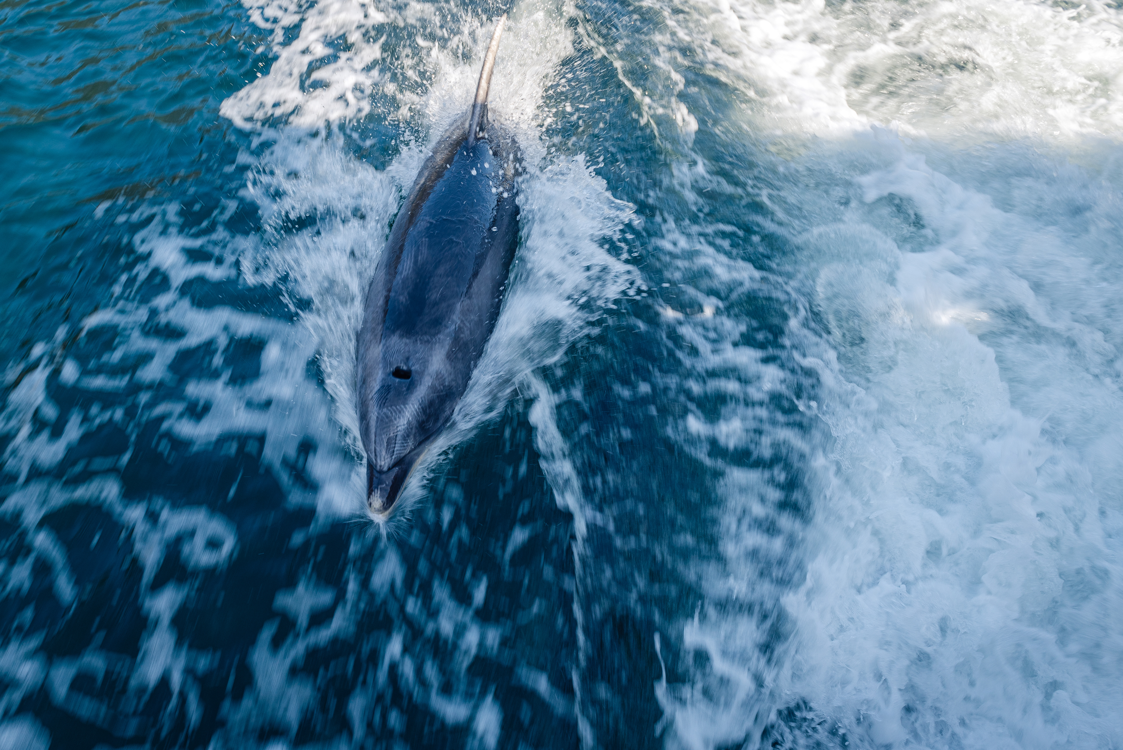 Milford Sound, South Island