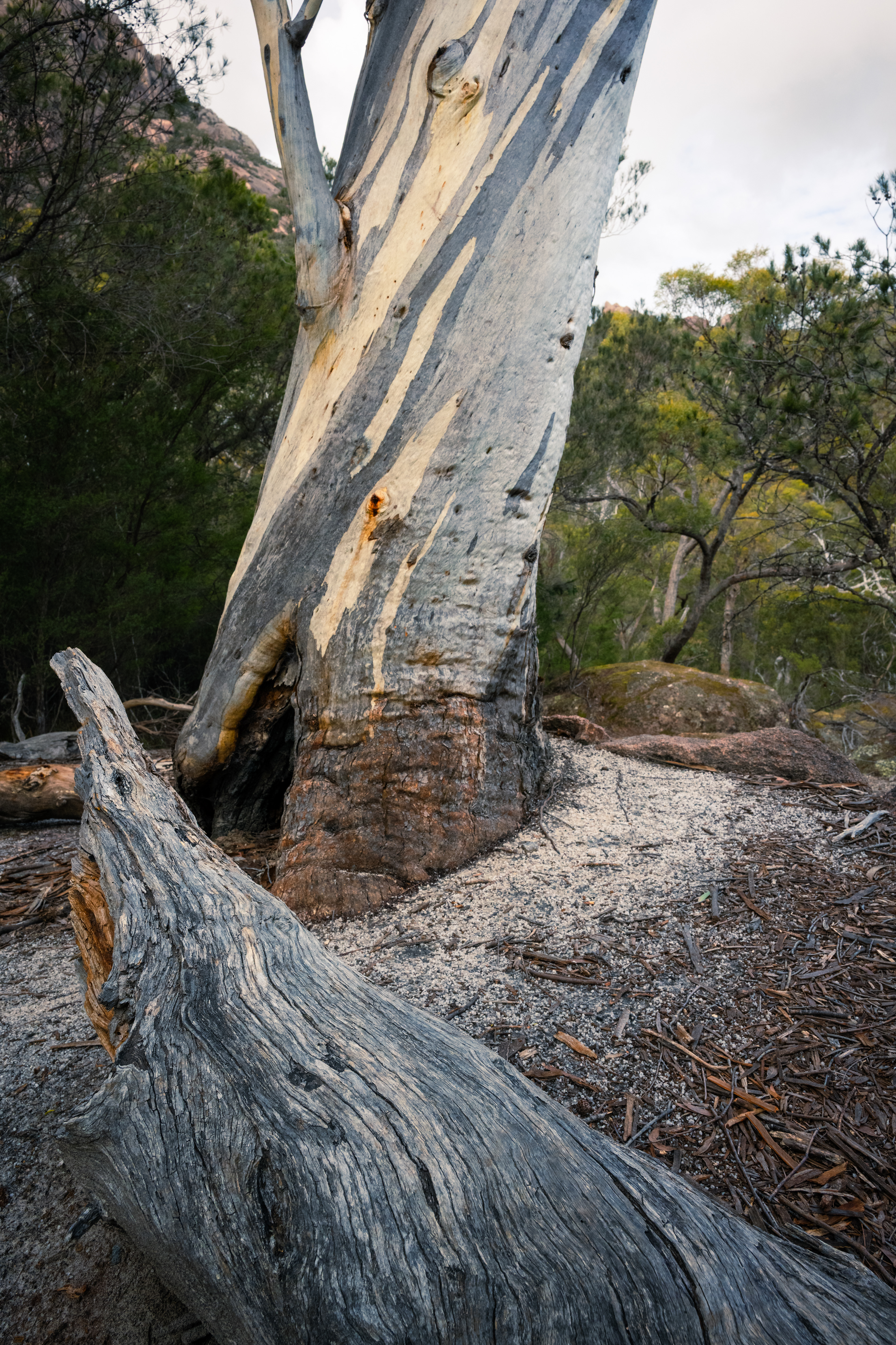 Freycinet National Park