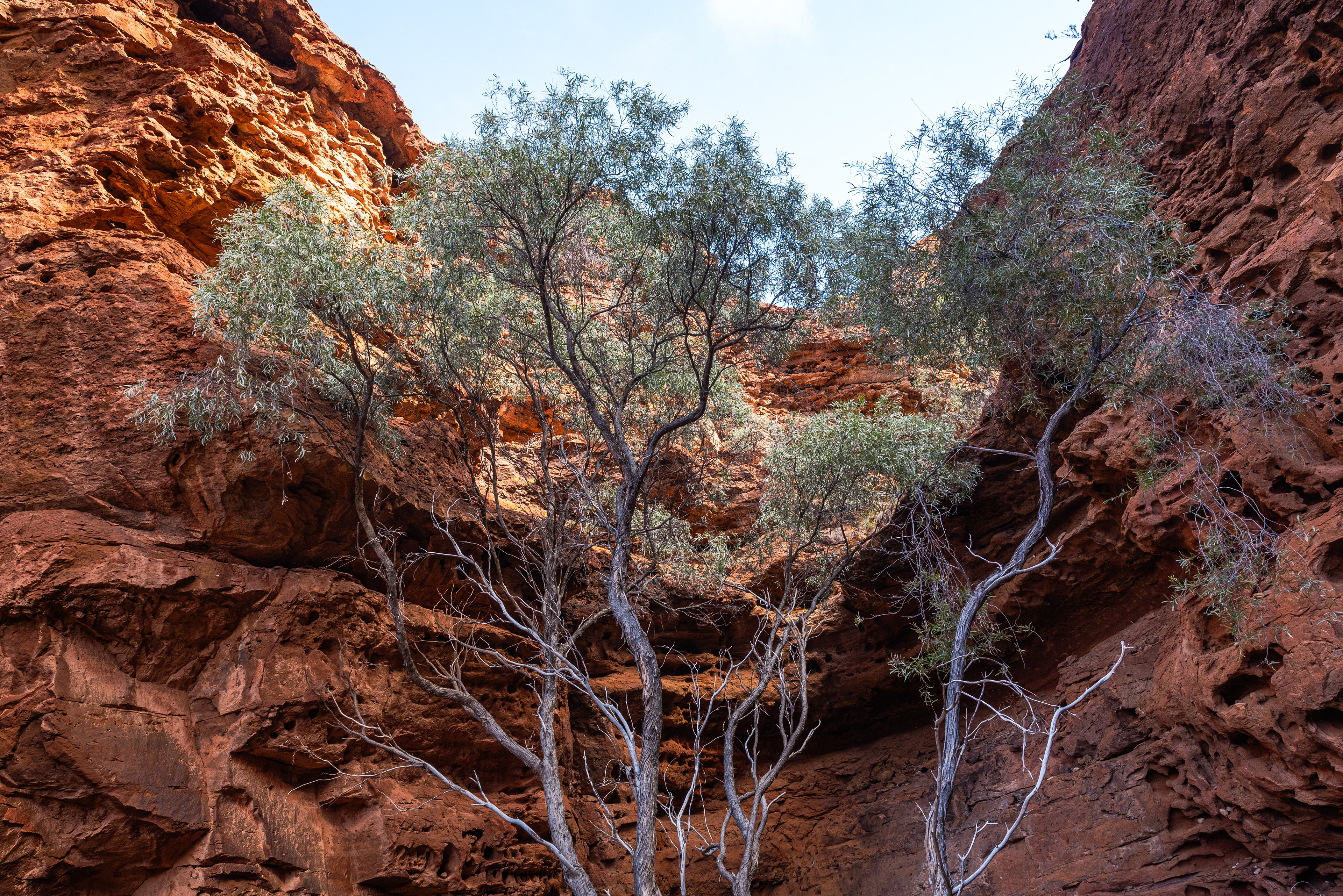 Kennedy Range National Park