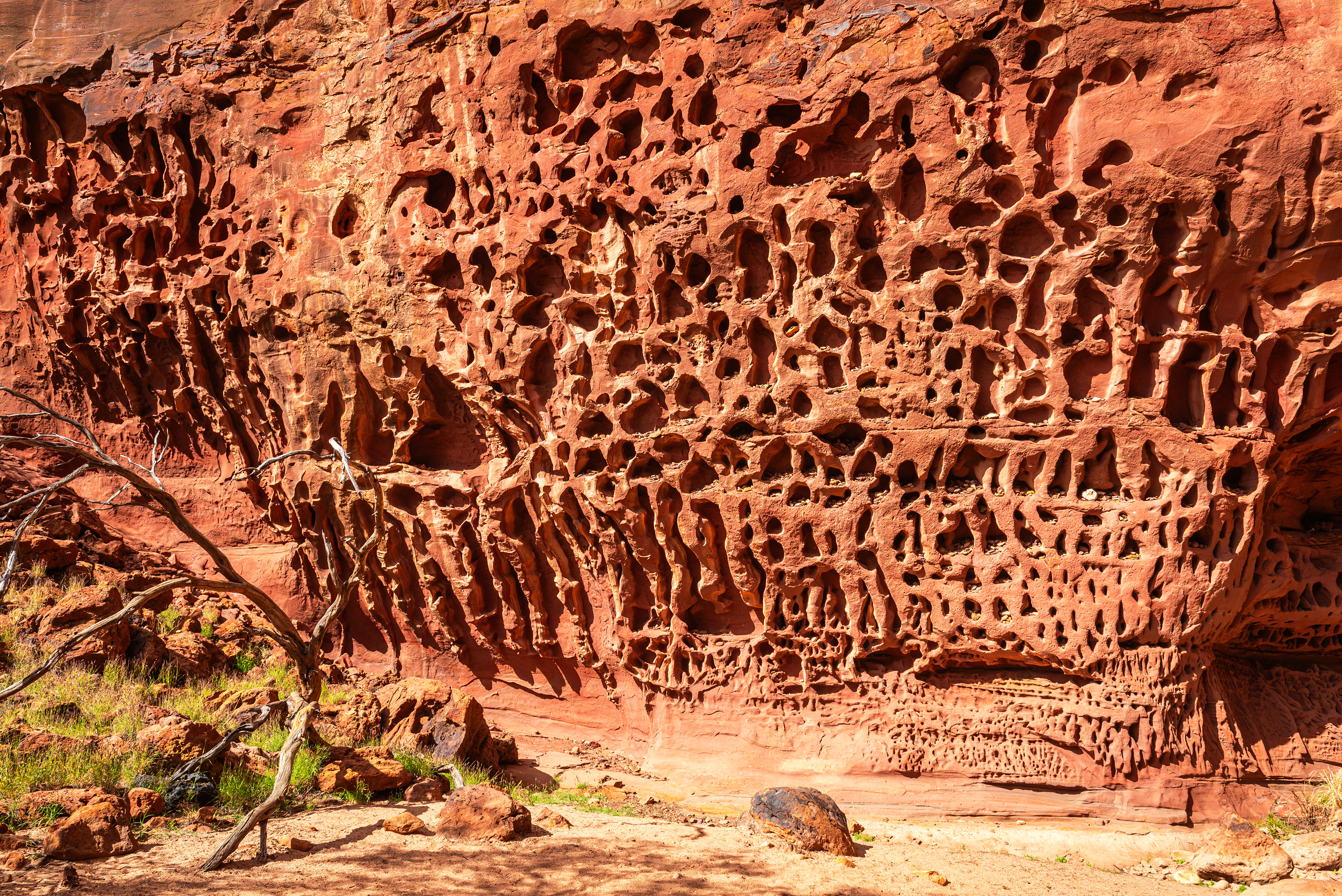 Kennedy Range National Park