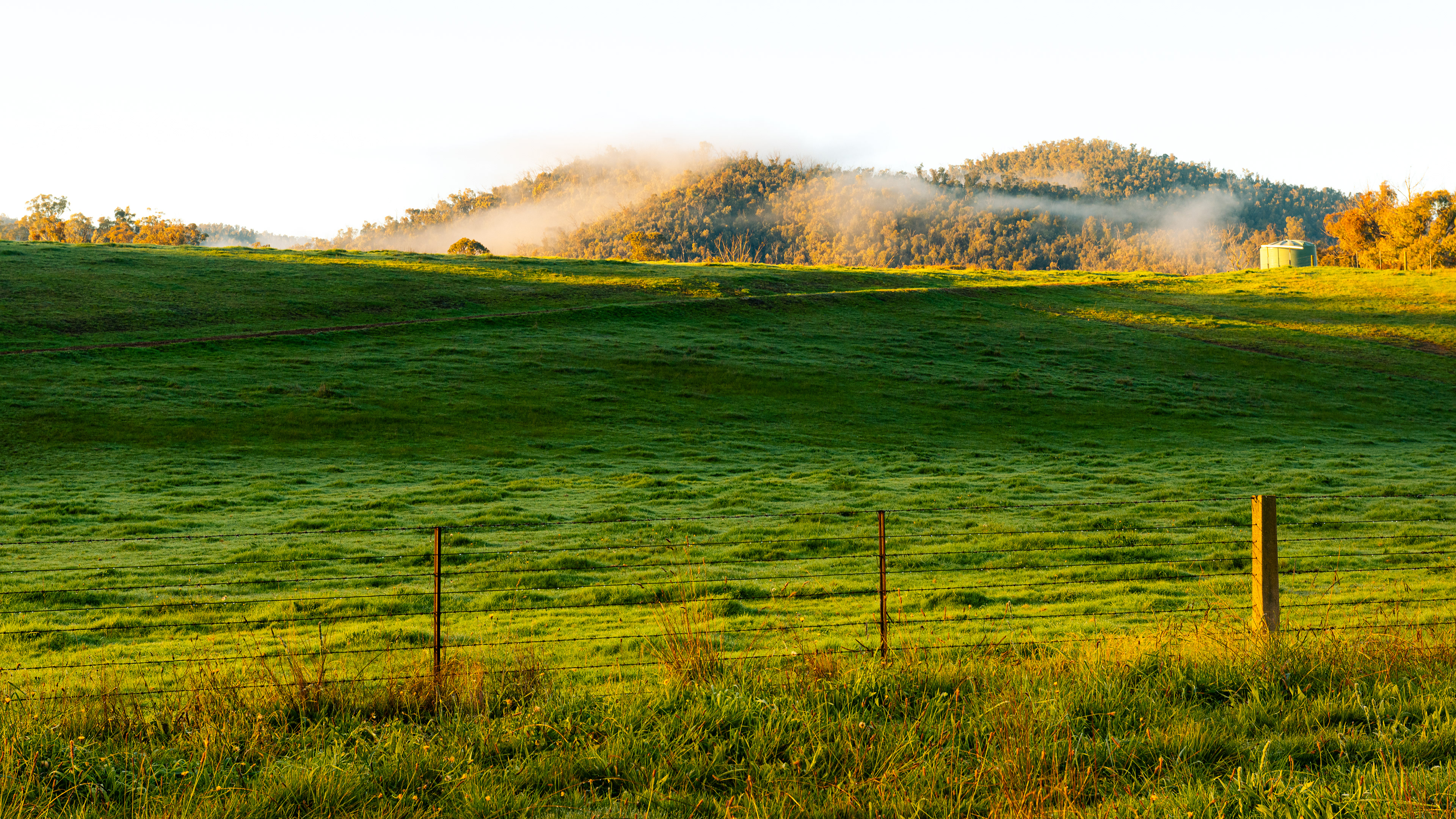 Corryong