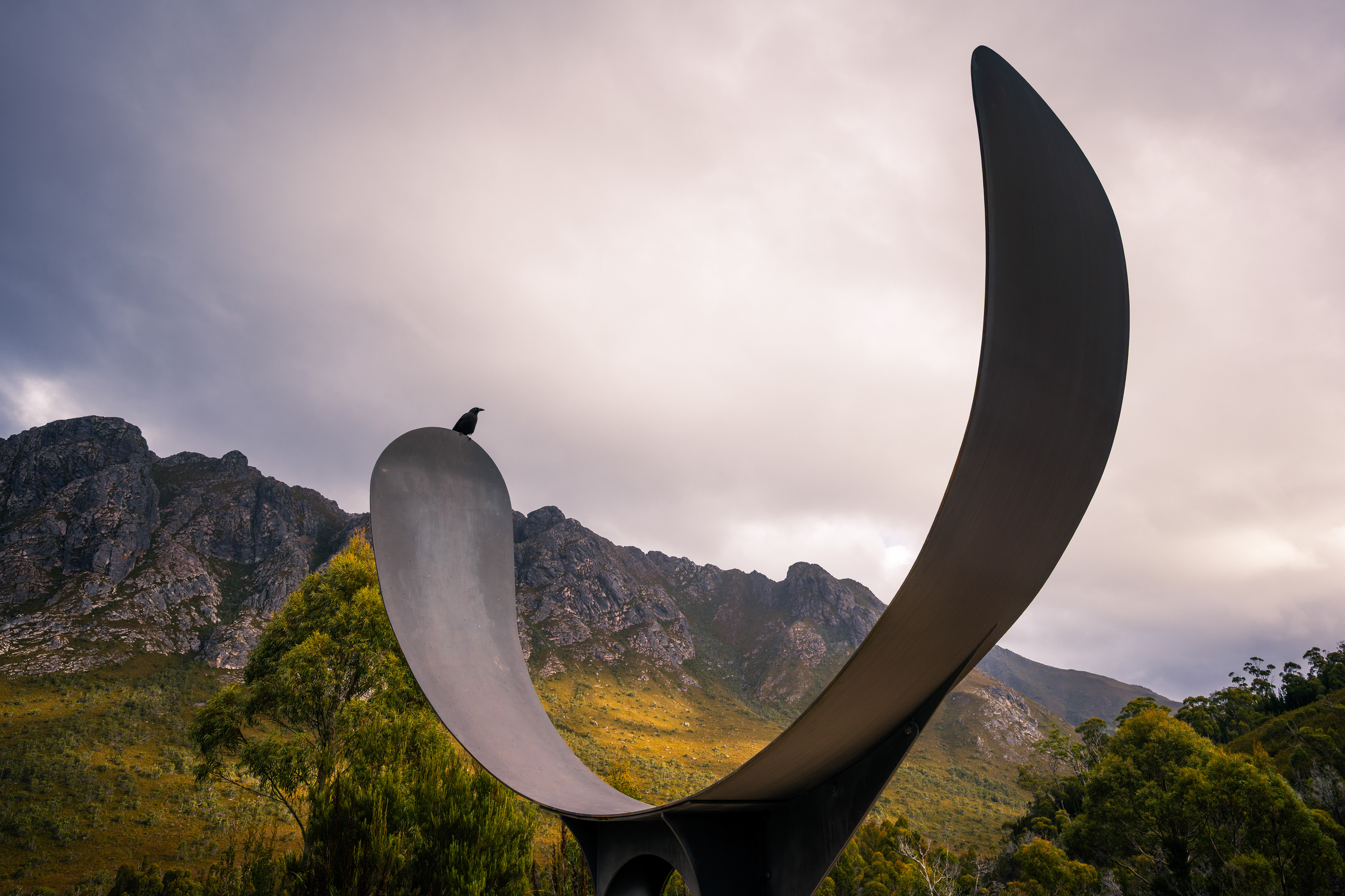 Bitumen Bones Sculpture, Southwest National Park