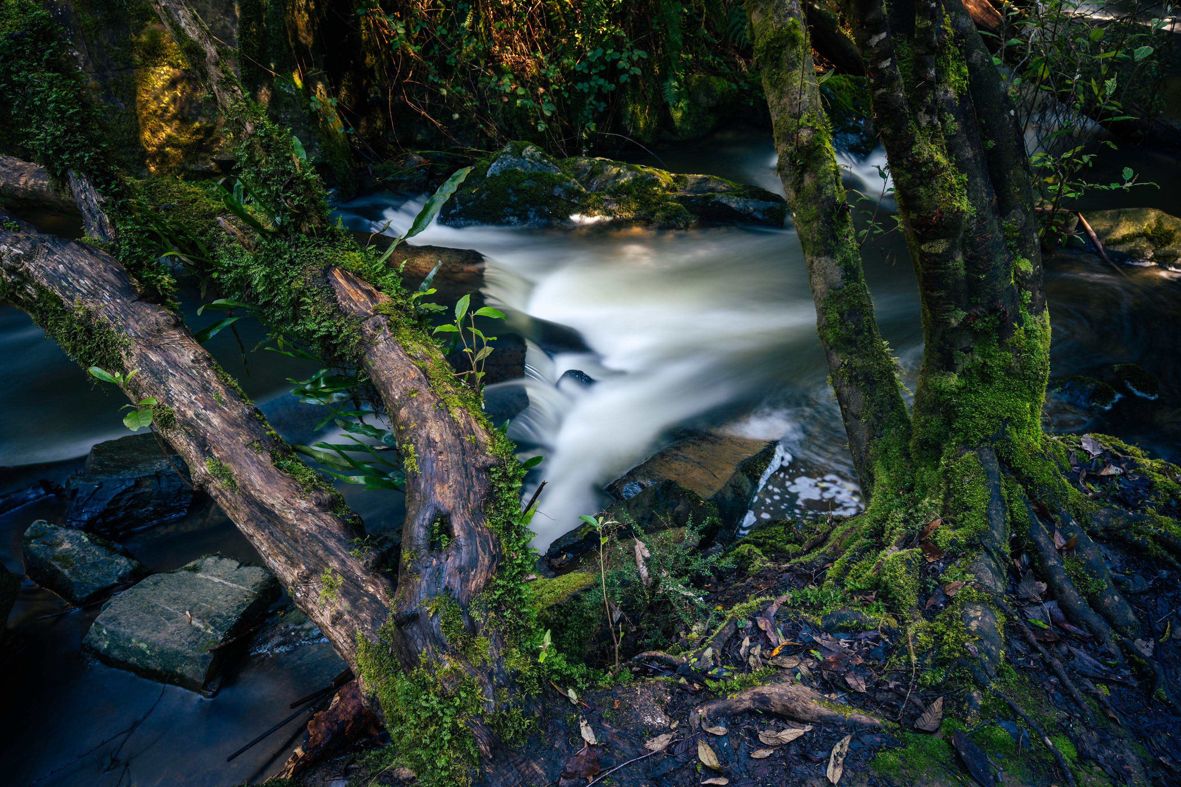 Lilydale Falls