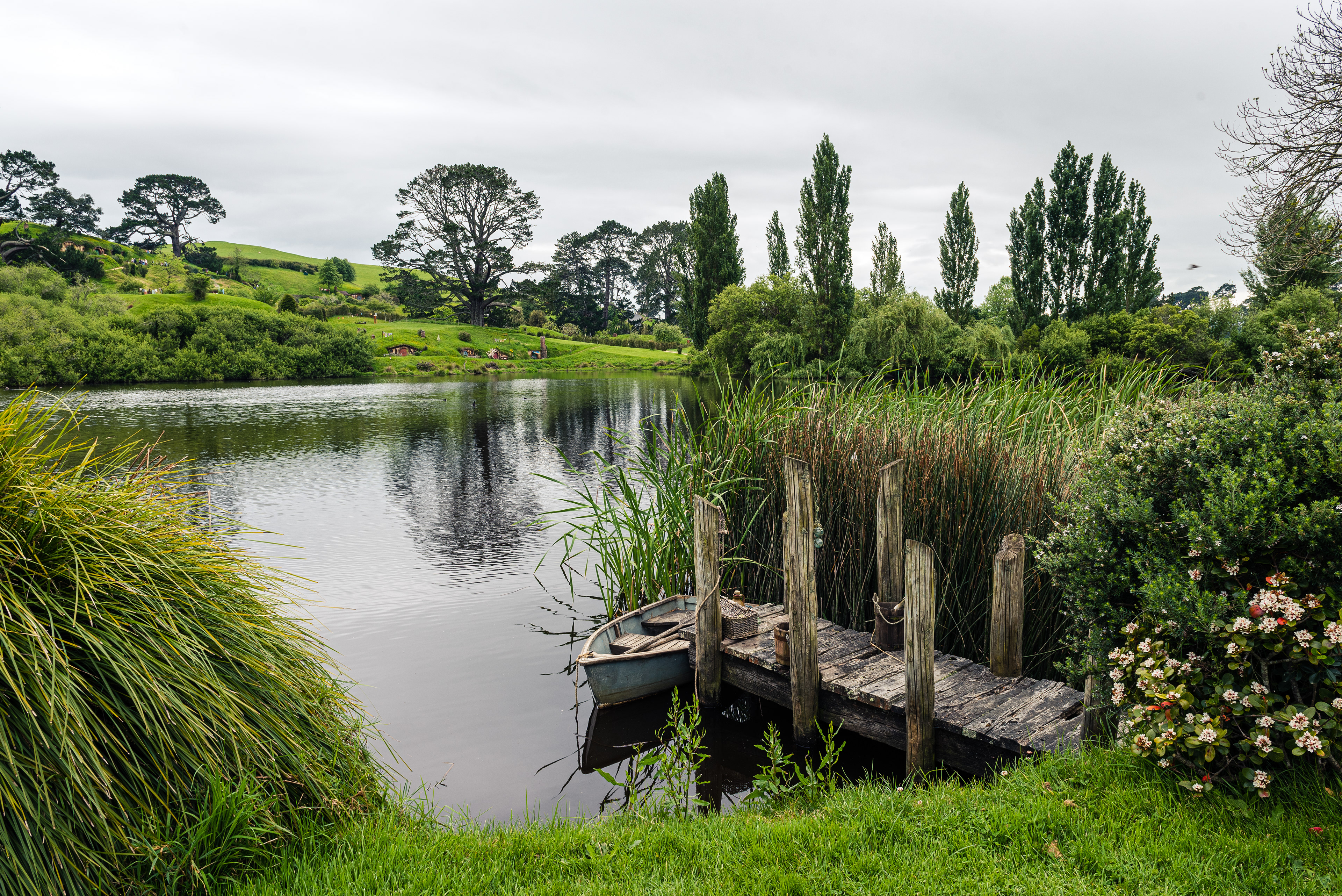 Hobbiton Movie Set, North Island