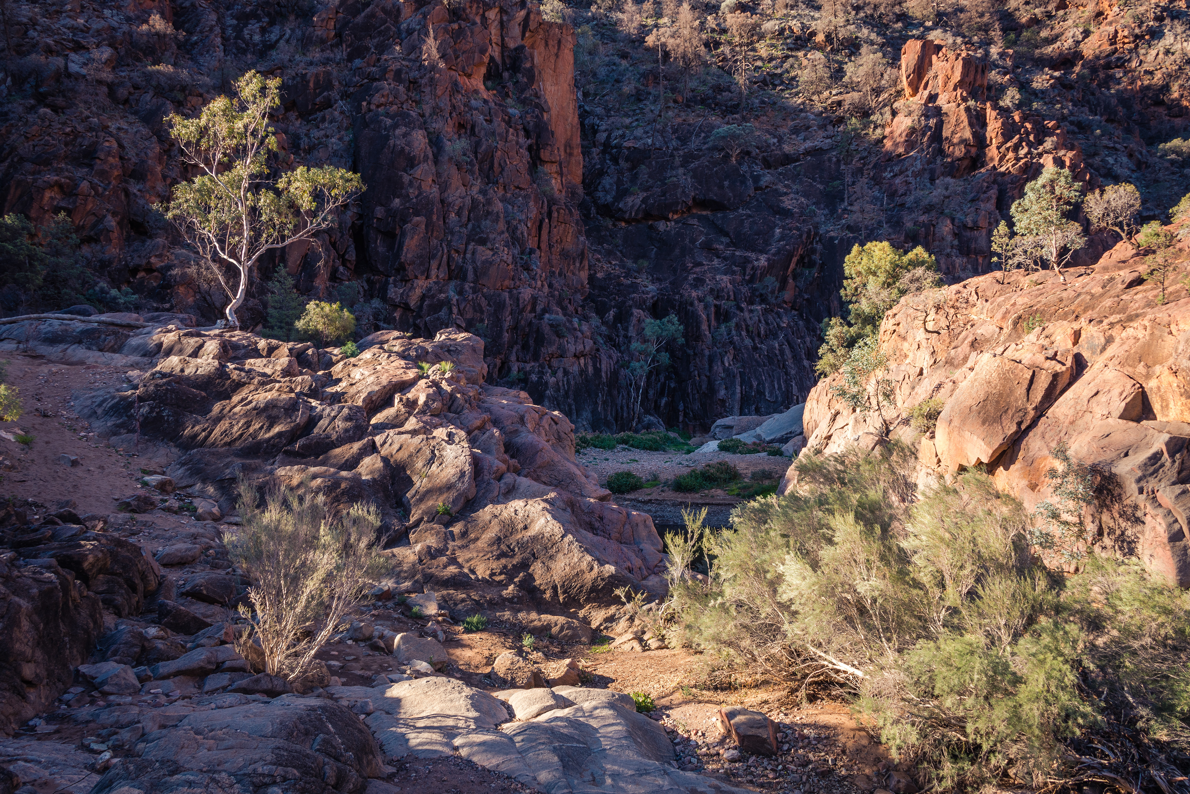 Arkaroola Wilderness Sanctuary