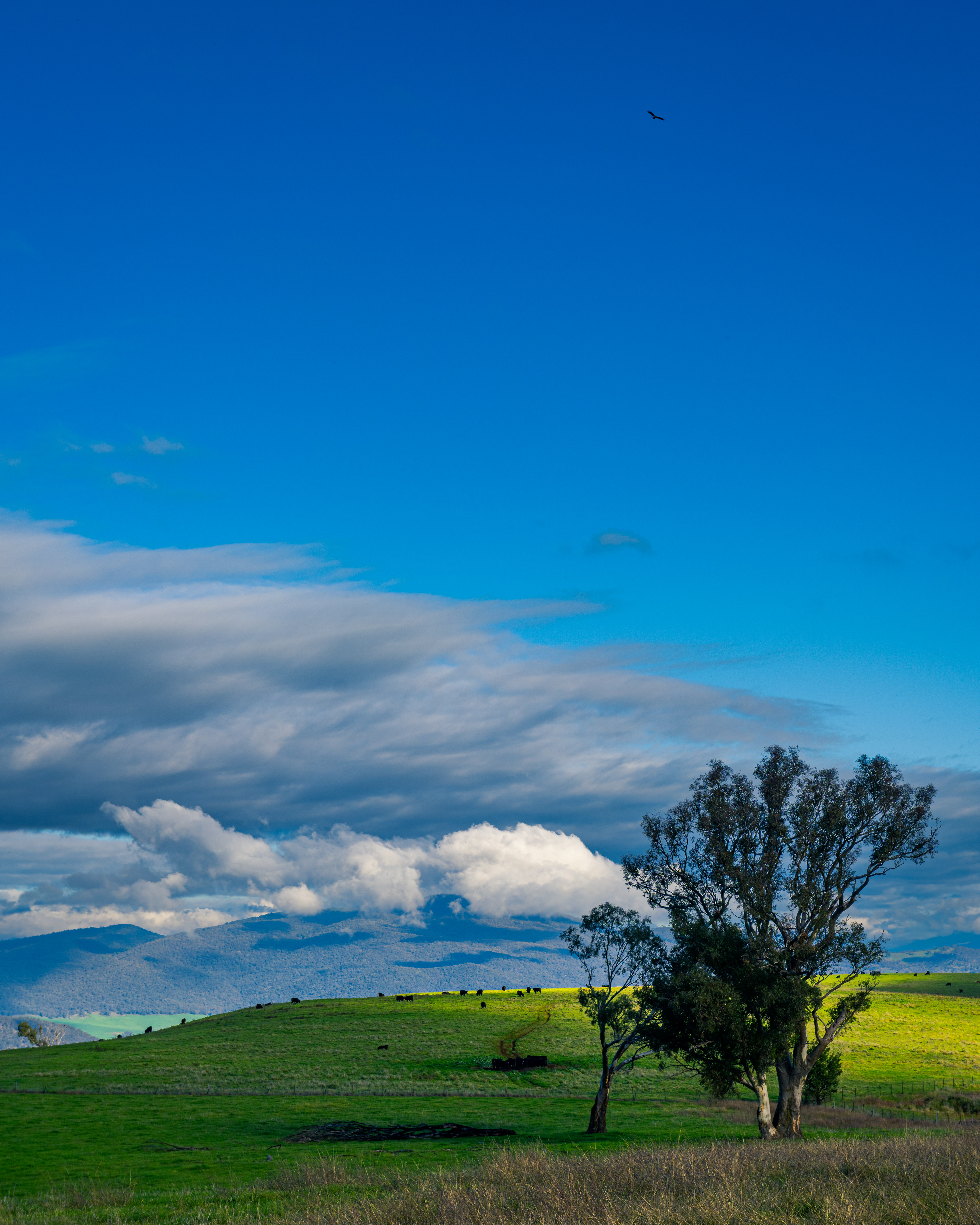Southern Cloud Lookout