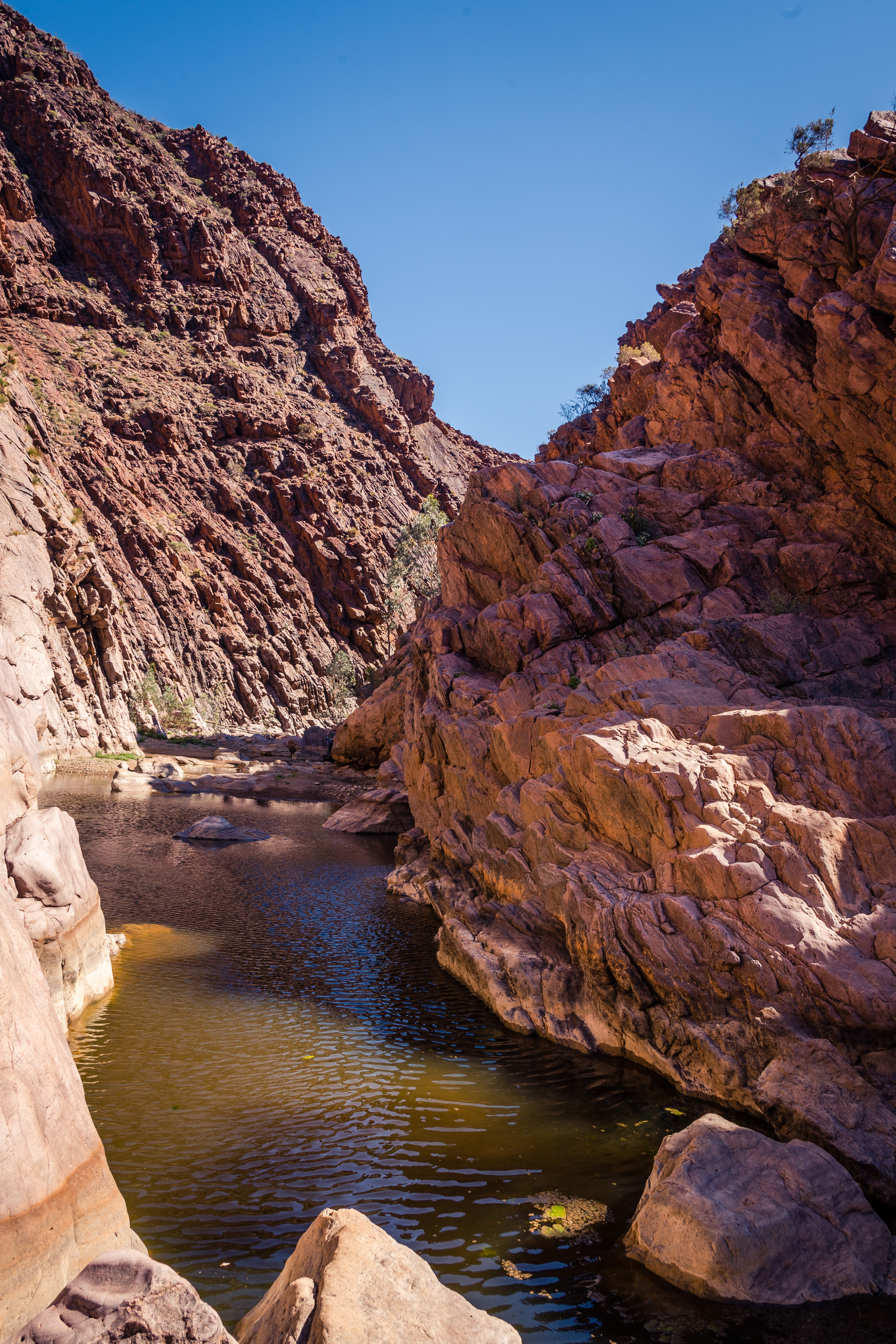 Arkaroola Wilderness Sanctuary