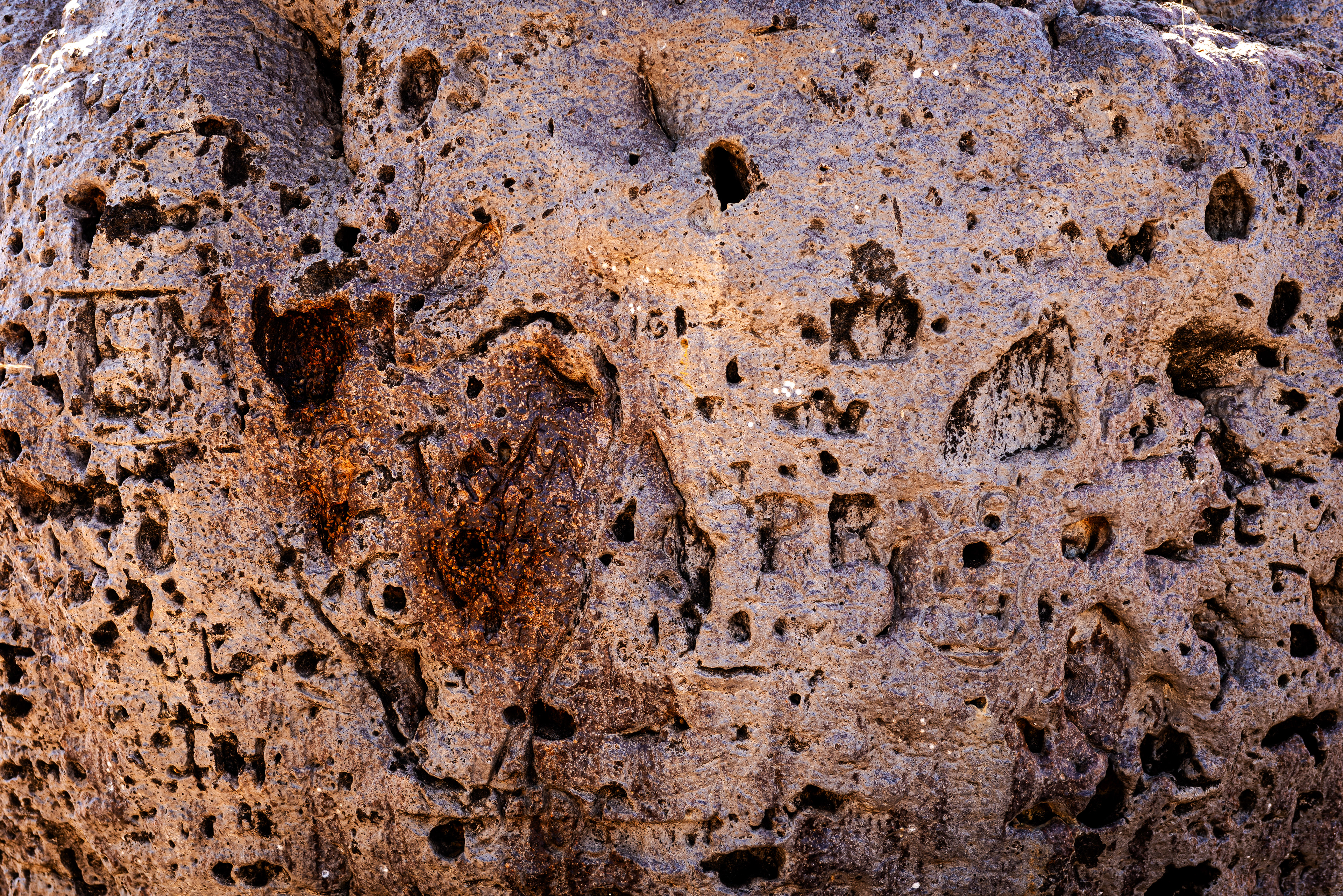 Boab Prison Tree, Derby