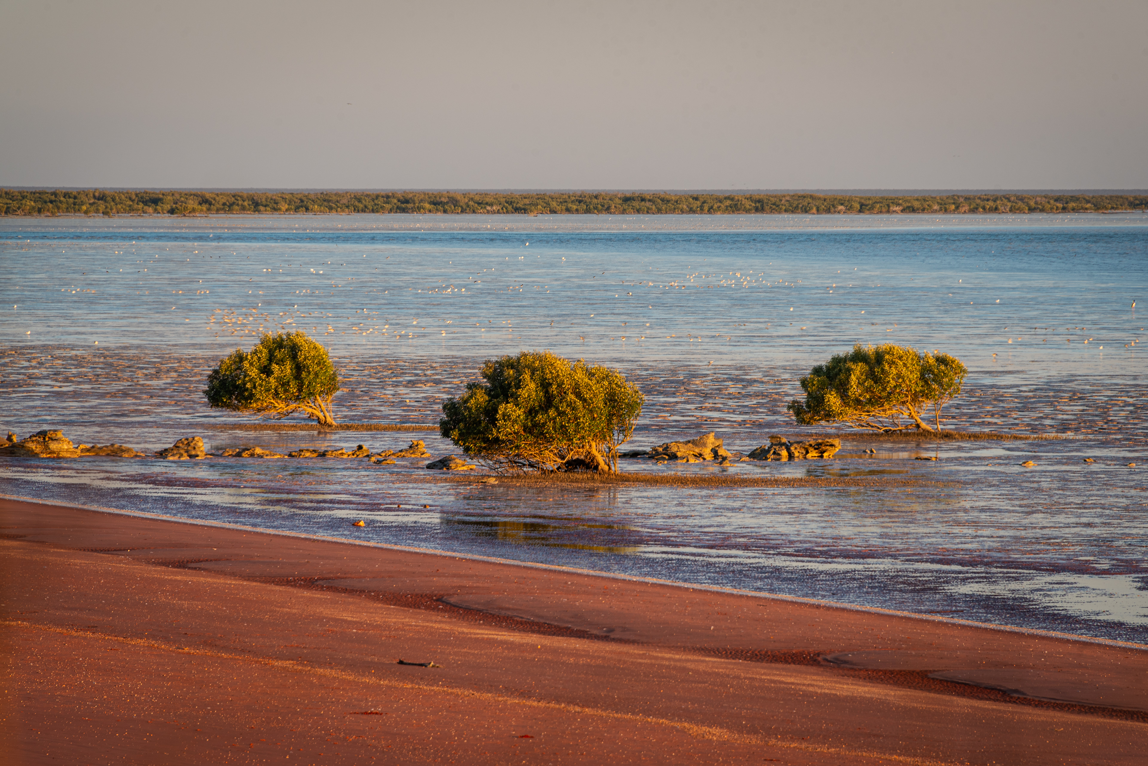 Broome Bird Observatory