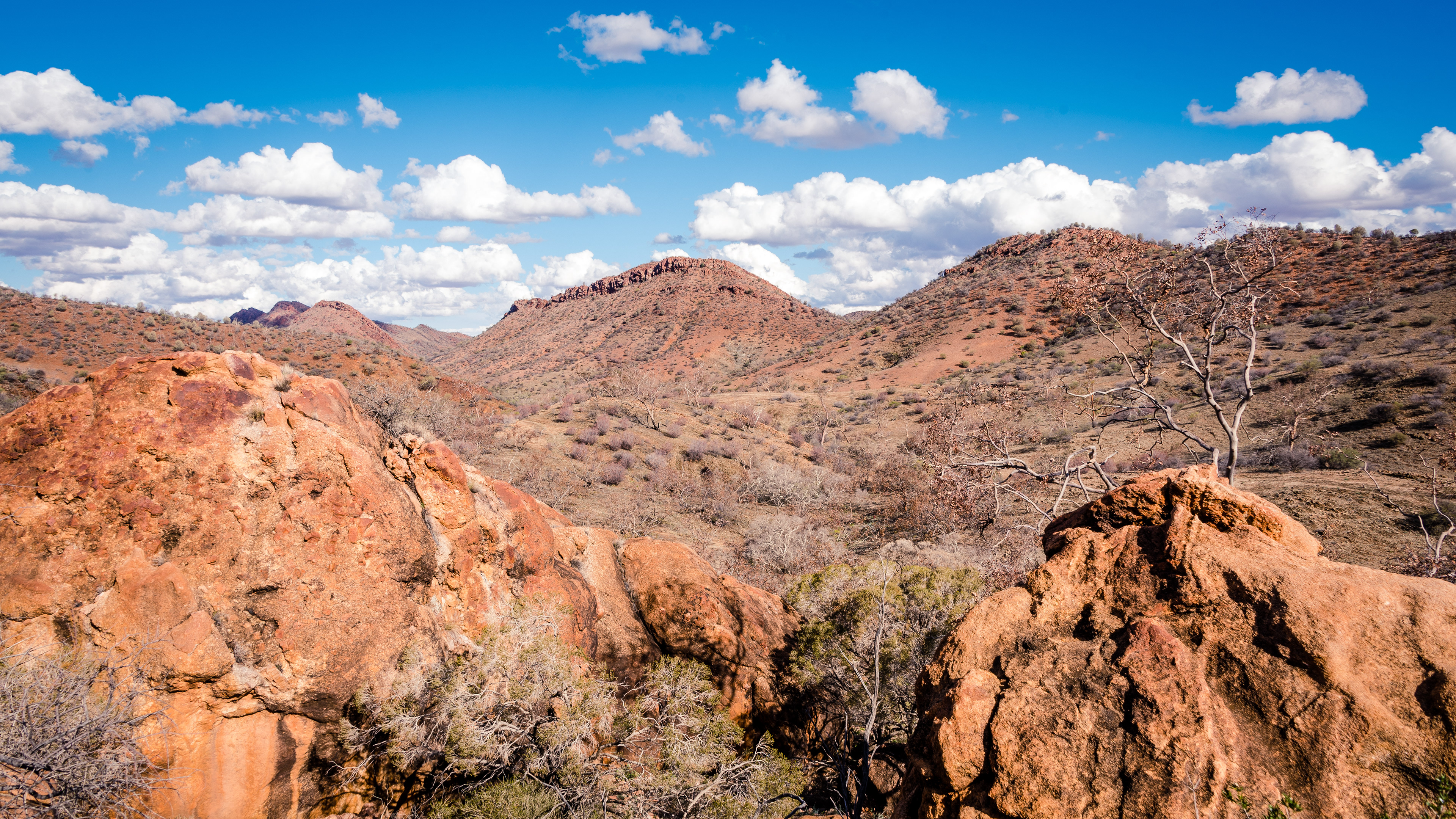 Arkaroola Wilderness Sanctuary