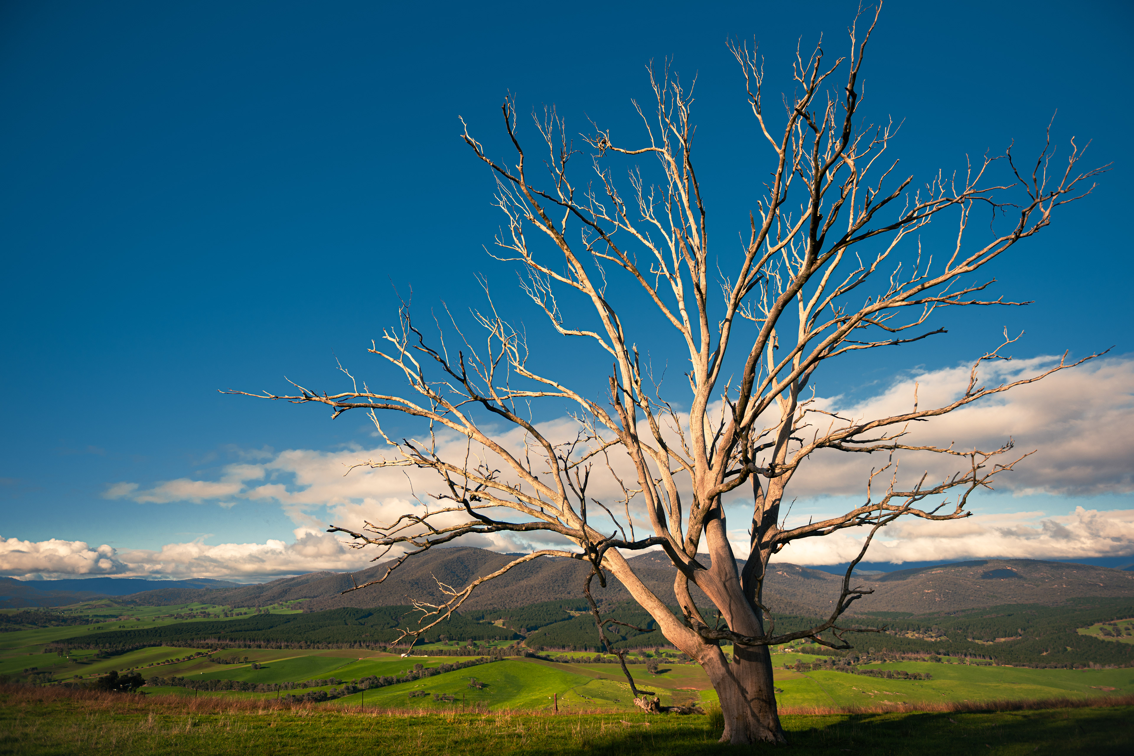 Southern Cloud Lookout