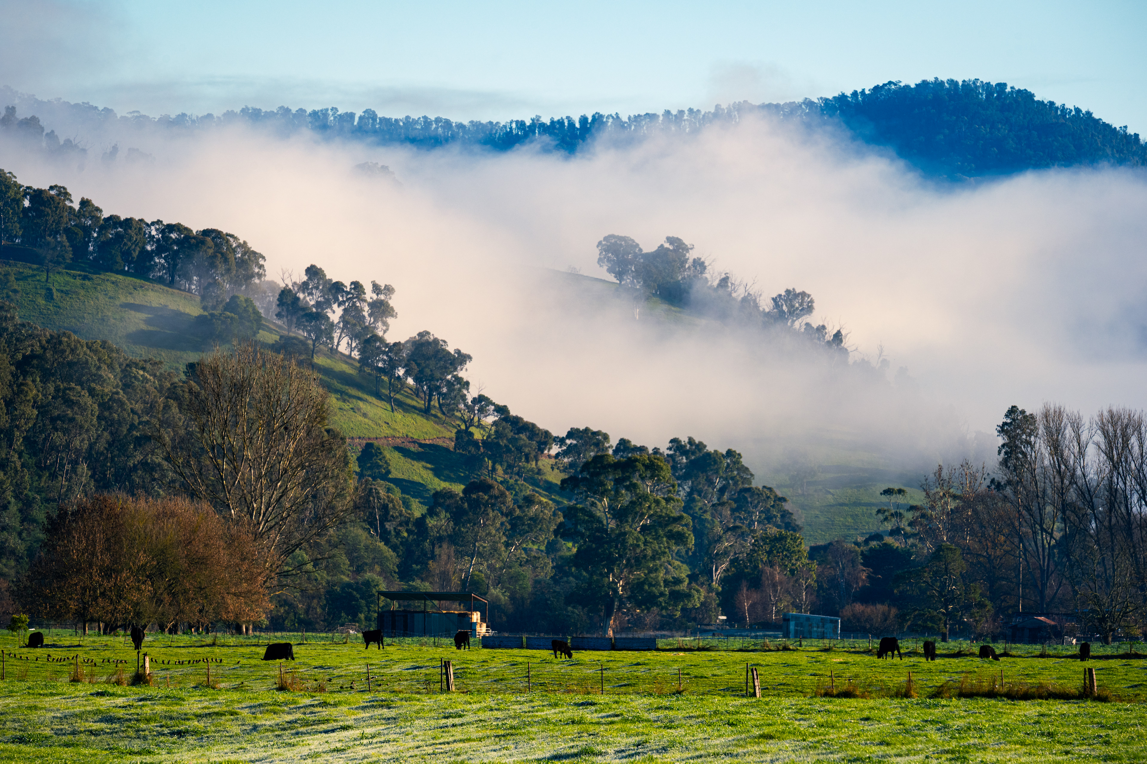 Corryong