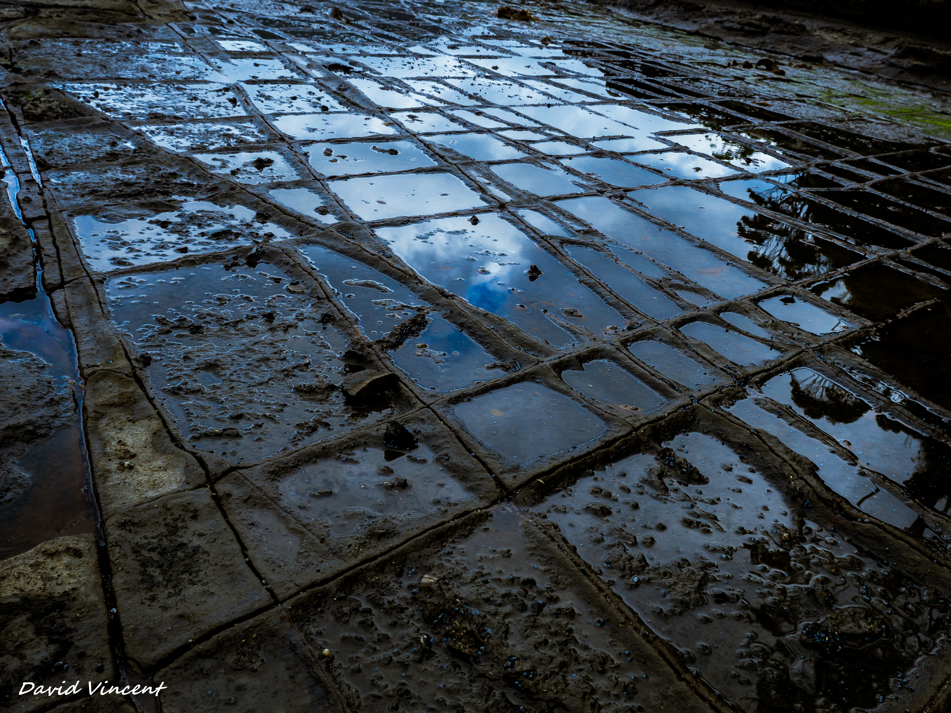 Tessellated Pavement