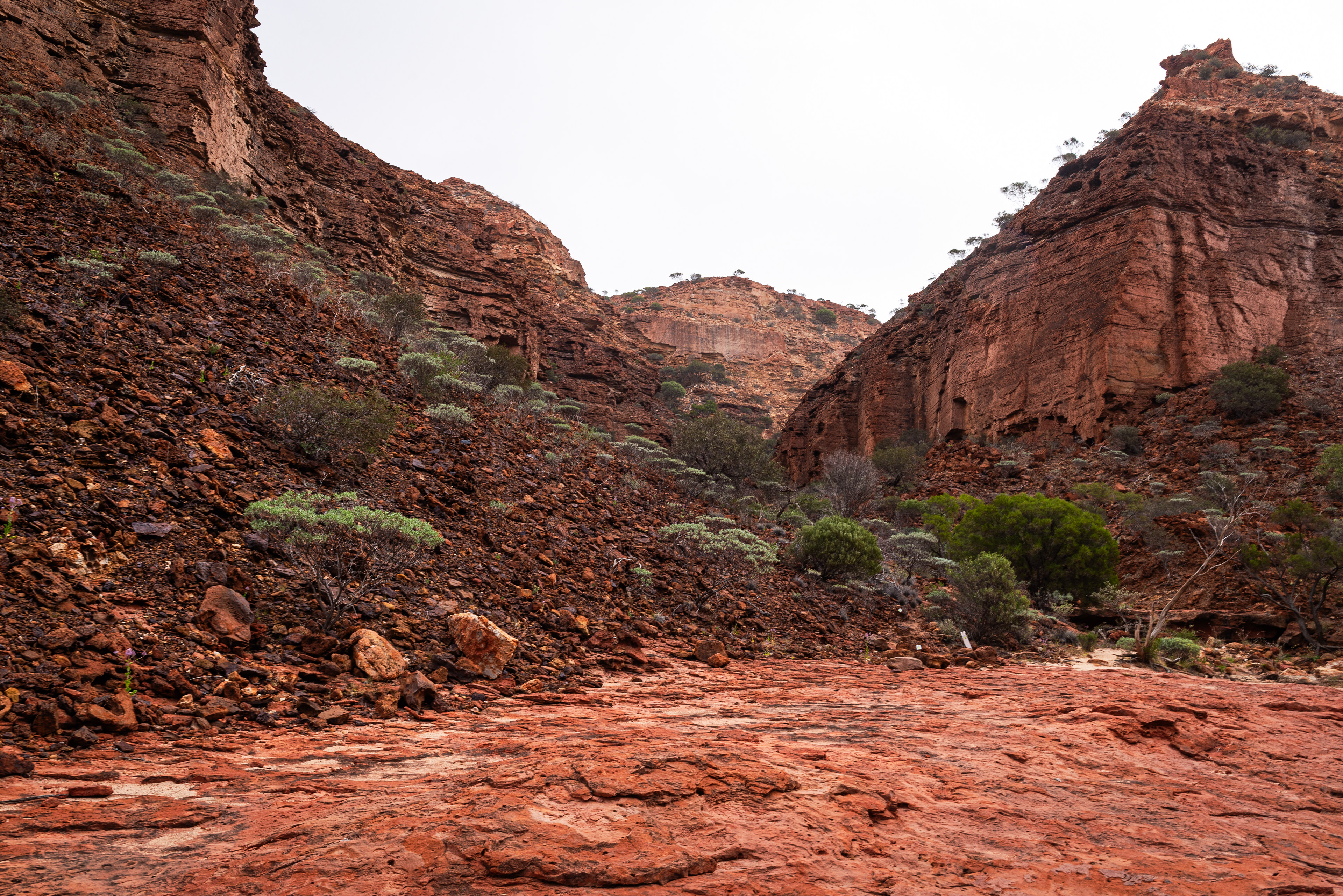 Kennedy Range National Park