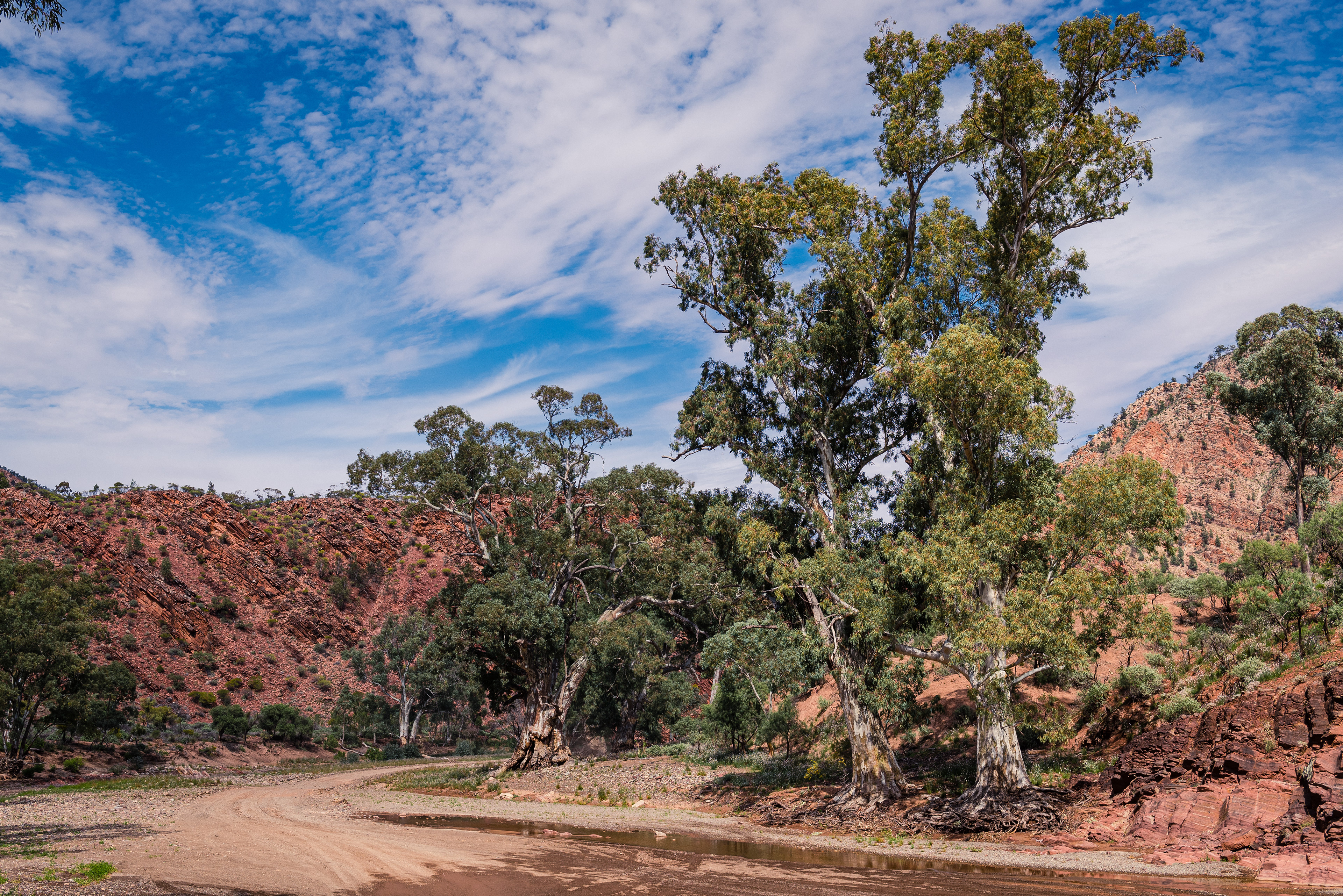 Bunyeroo Gorge