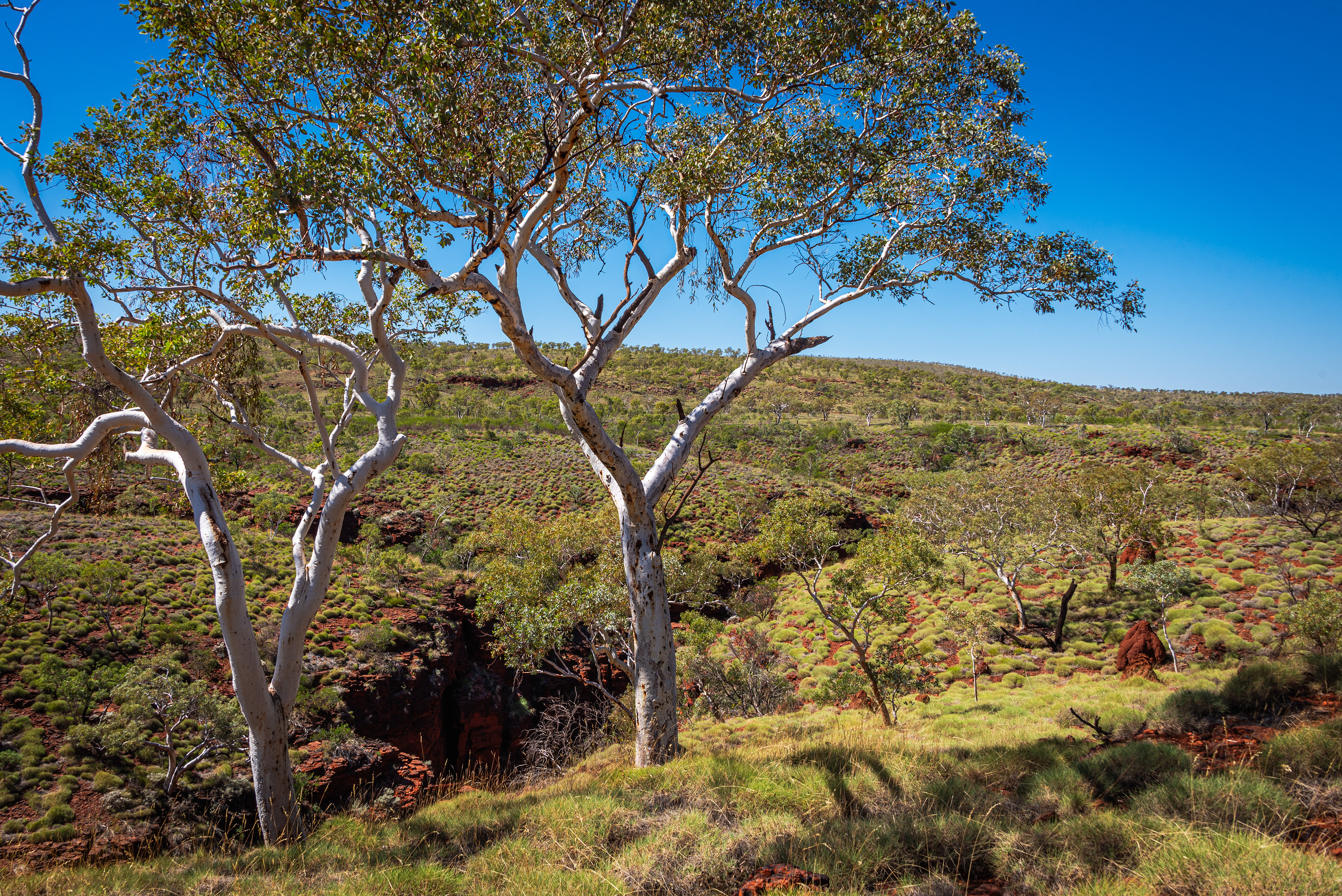 Karijini National Park