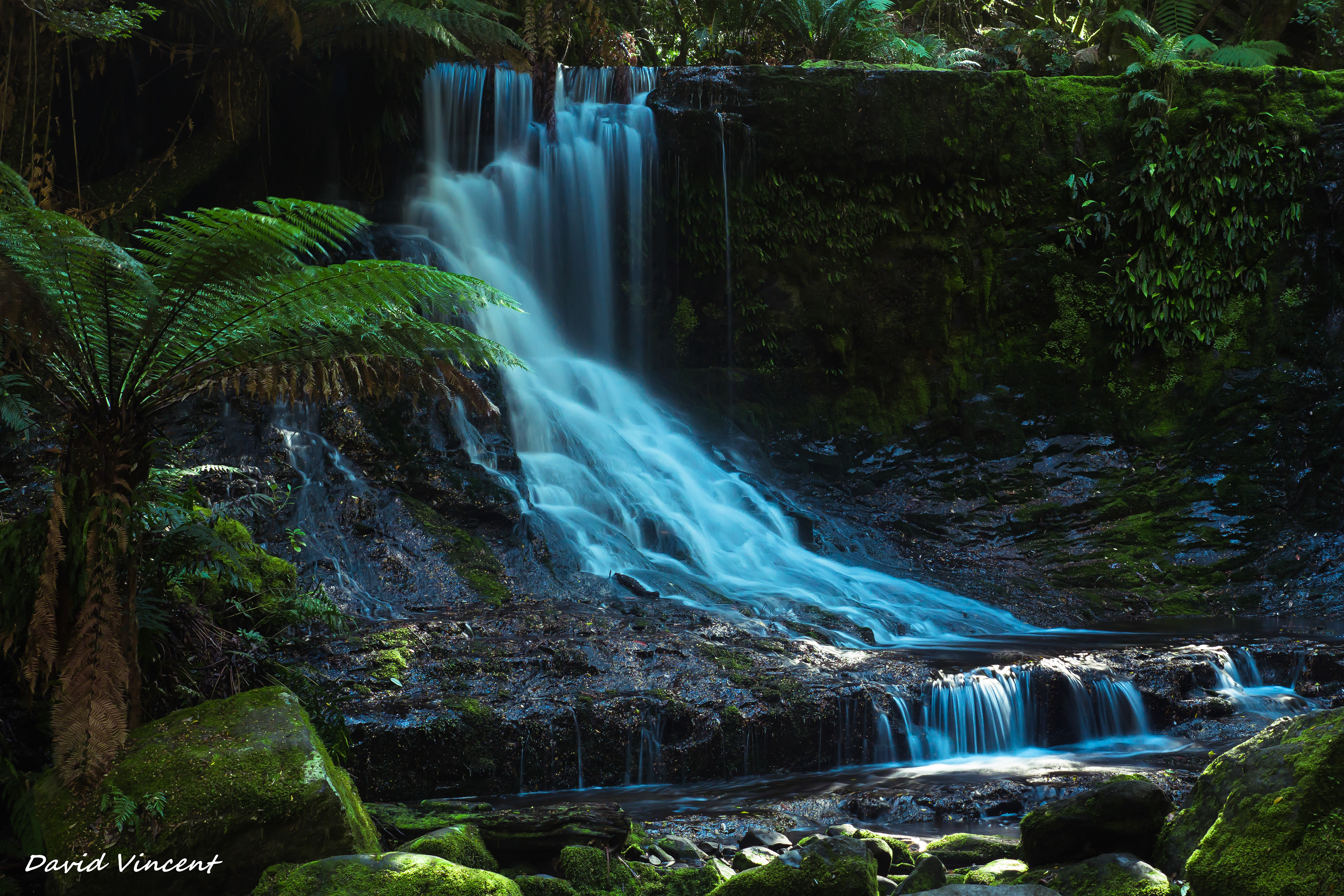 Mount Field National Park