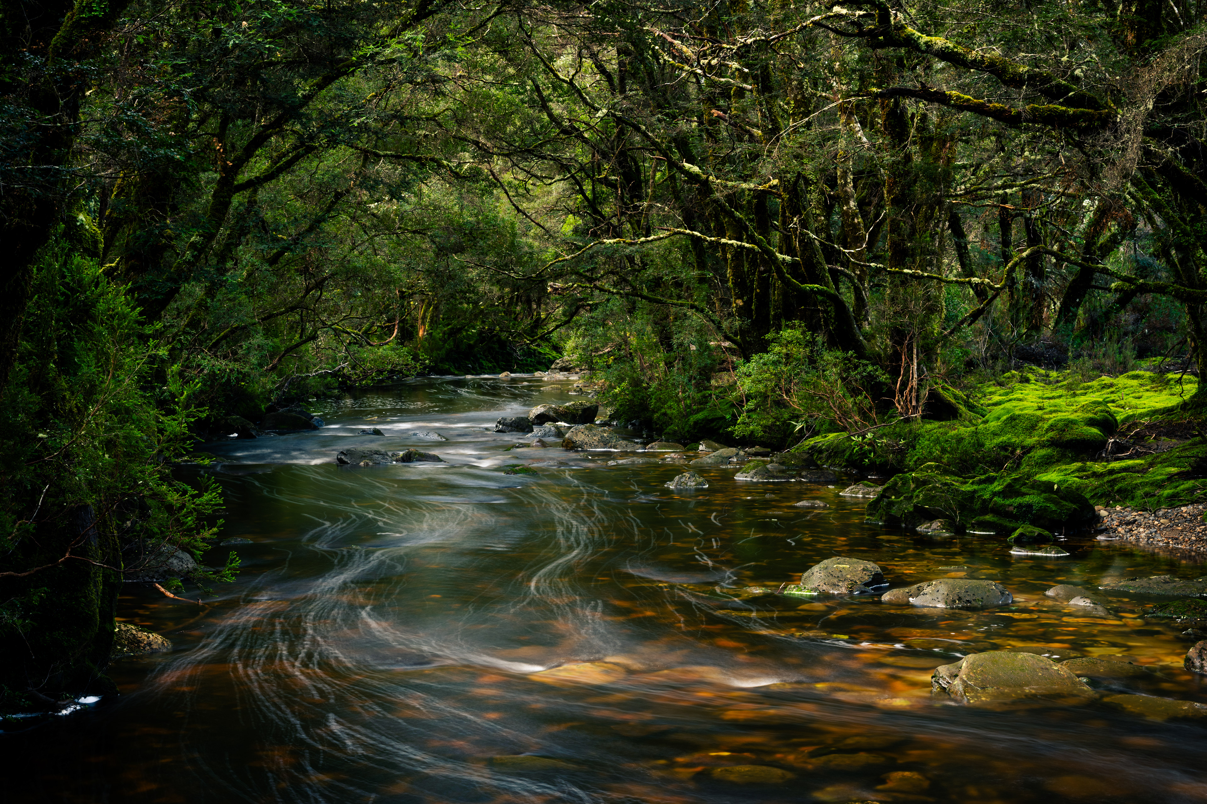 Cradle Mountain-Lake St Clair National Park